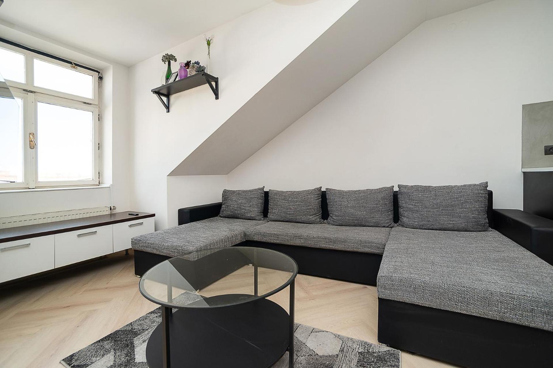 Big 4-bedroom flat, terrace with great Vítkov view