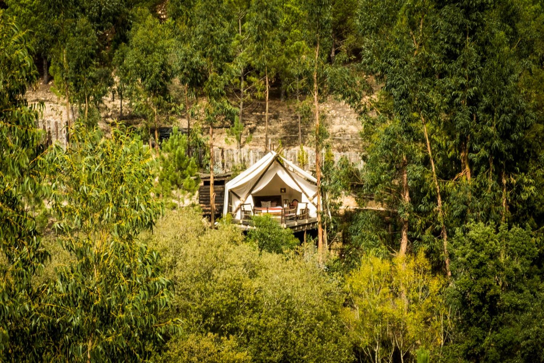 Quinta Alma - Ecological Retreat Farm, photo 19