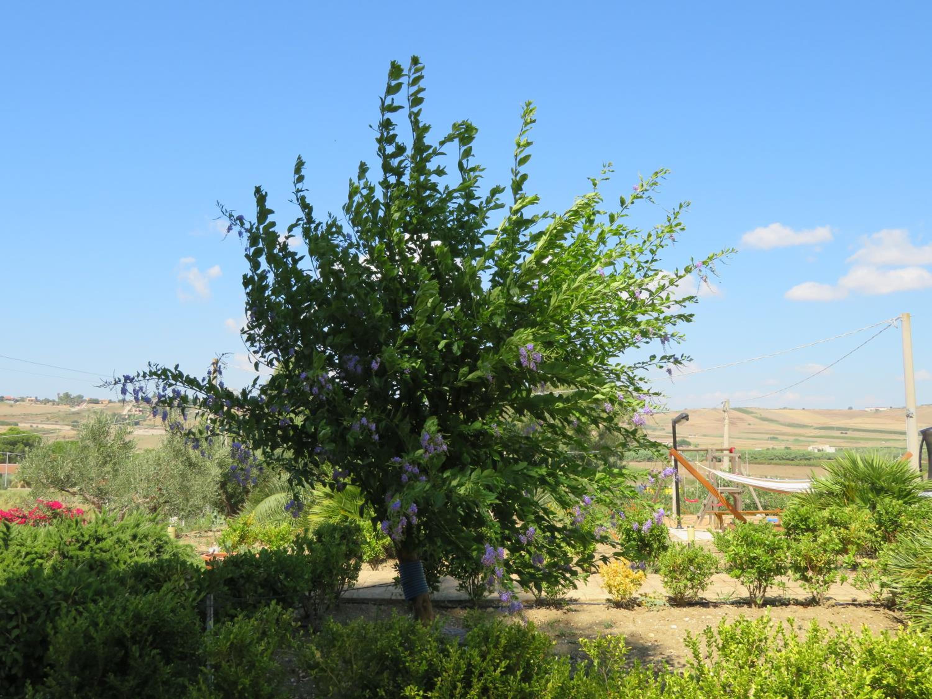 Photo 29