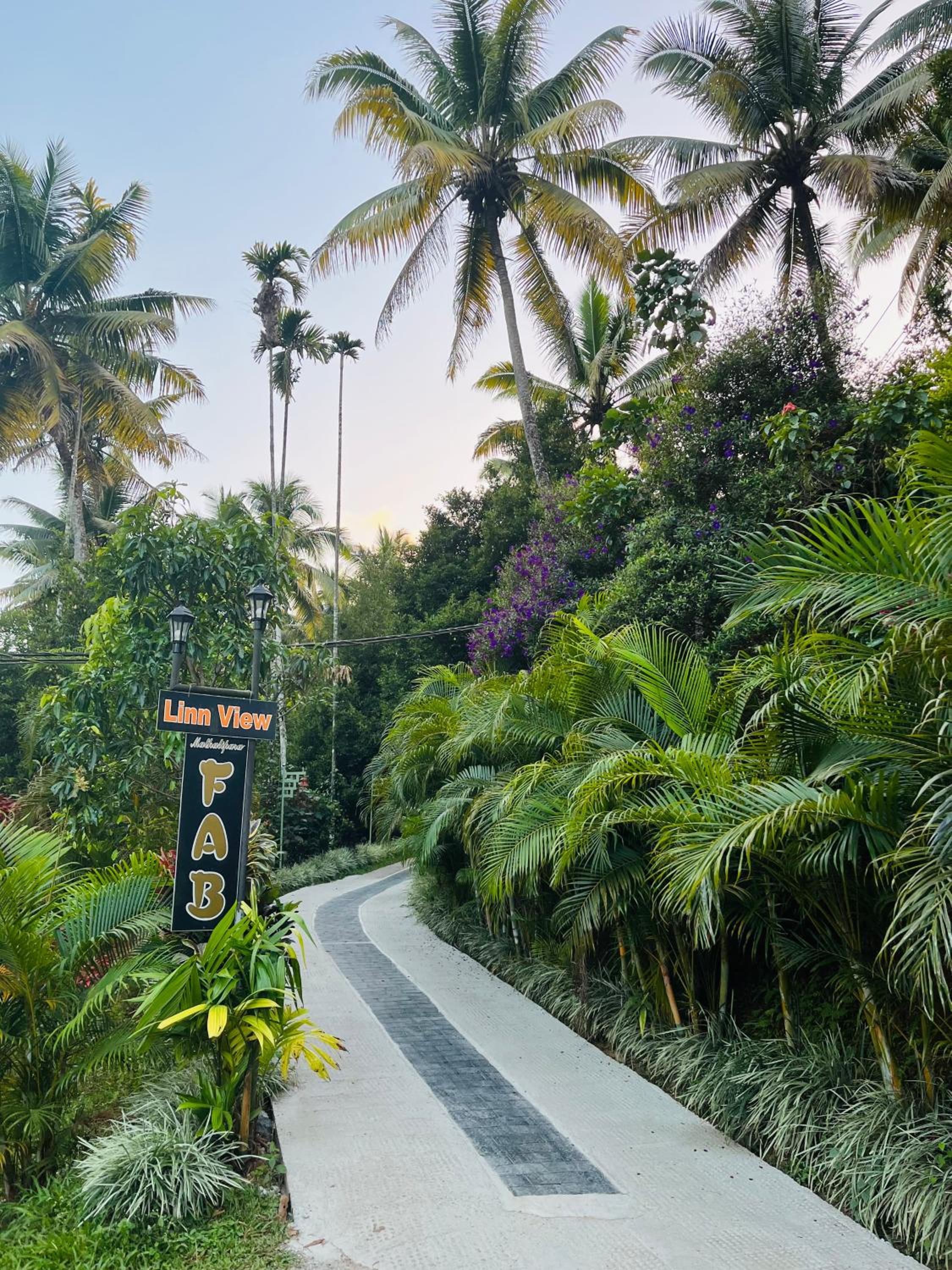 Photo 24