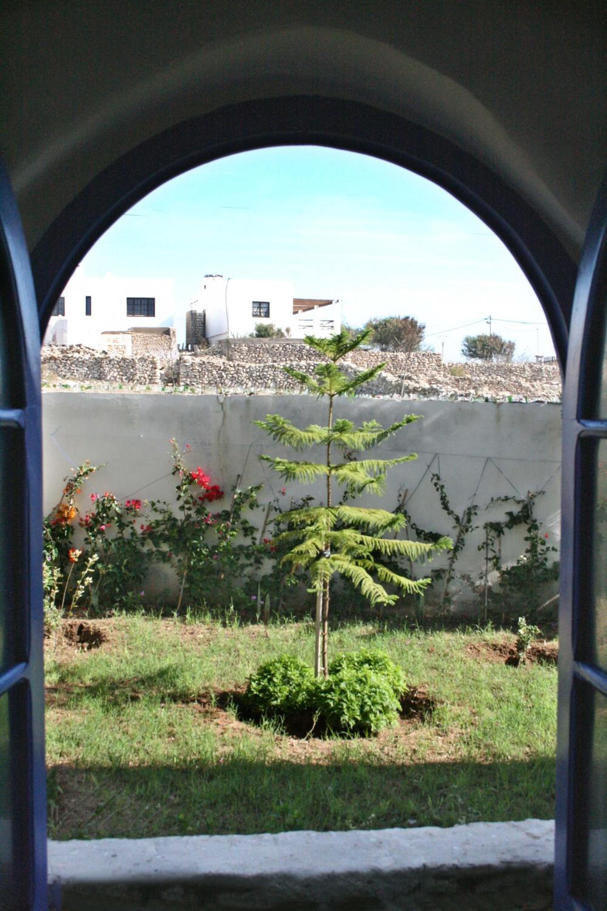 Photo 25