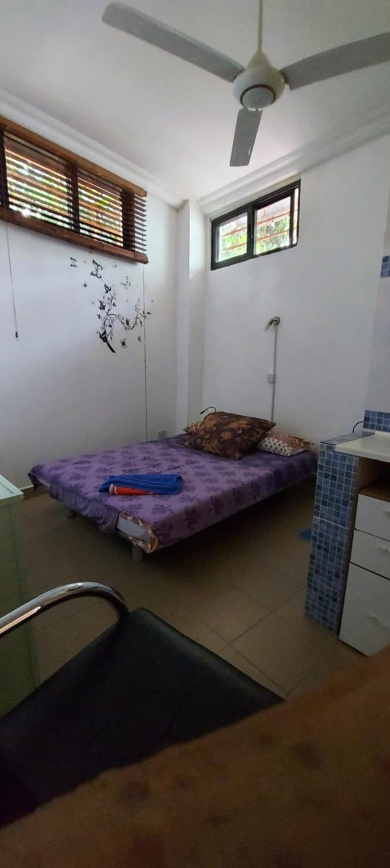 Busy Bee Apartments view 5