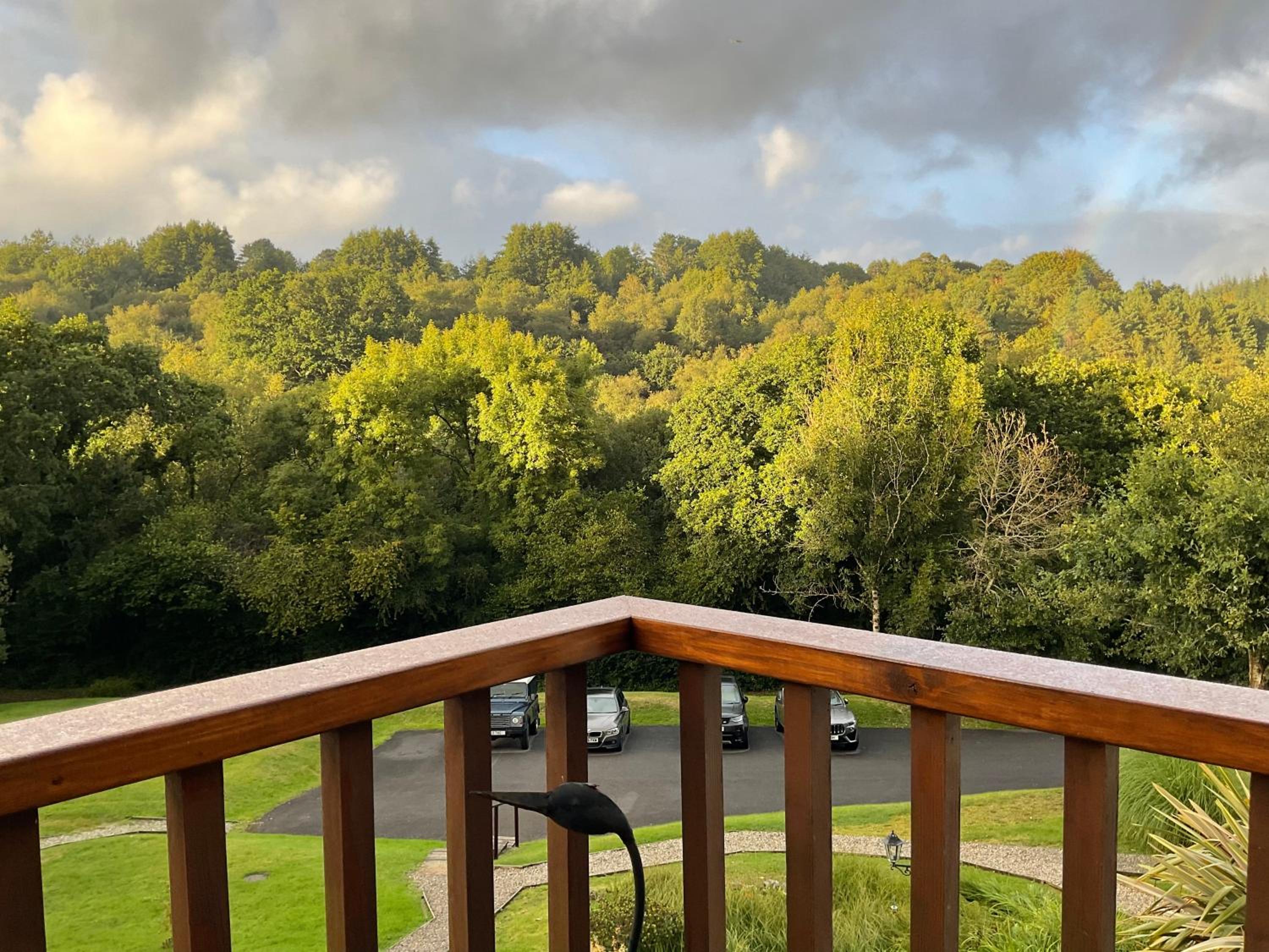 8 Oakridge, St Mellion view 2