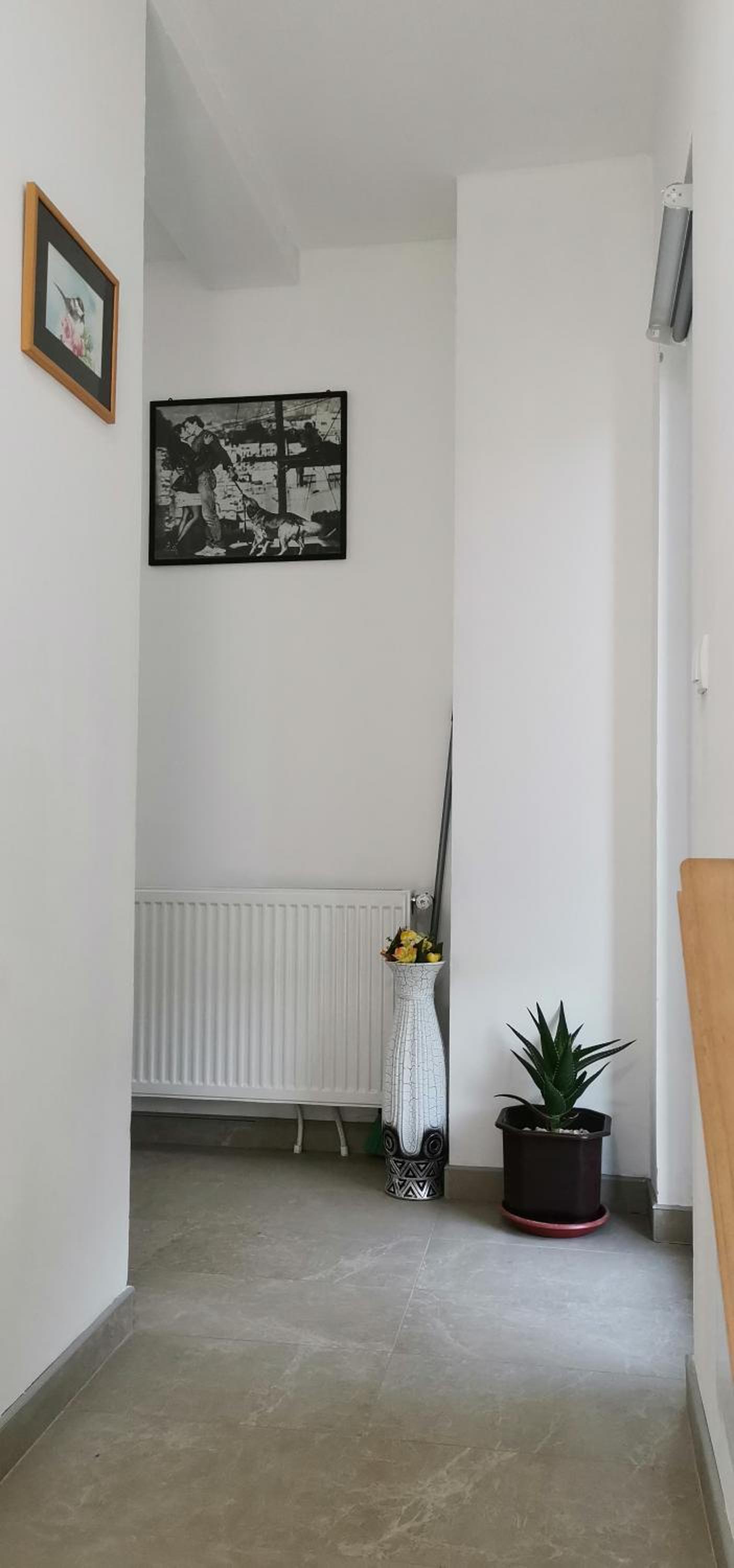 Apartmani Park Vrdnik view 3