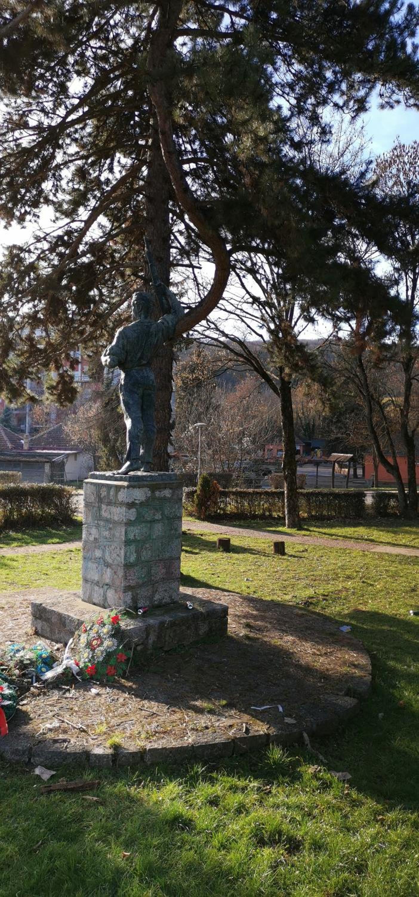 Apartmani Park Vrdnik view 4