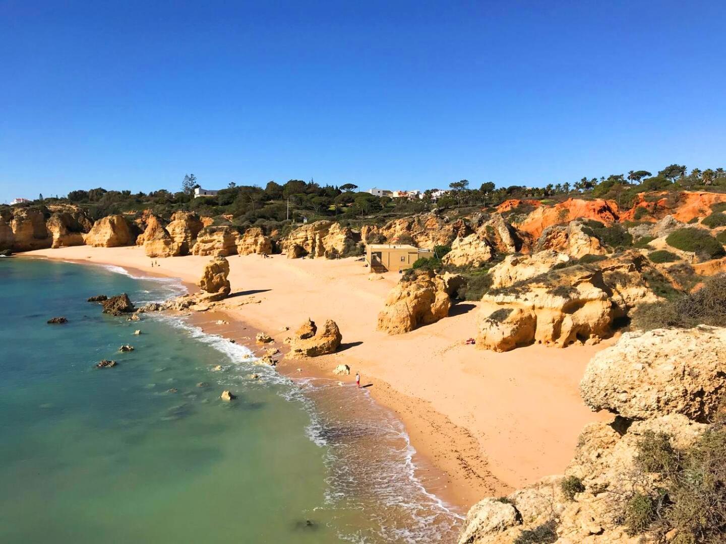 Photo 29