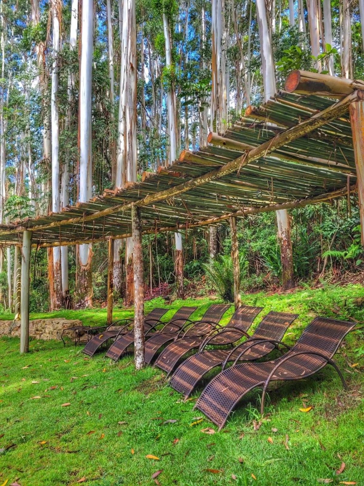 Pousada A Casa da Fazenda