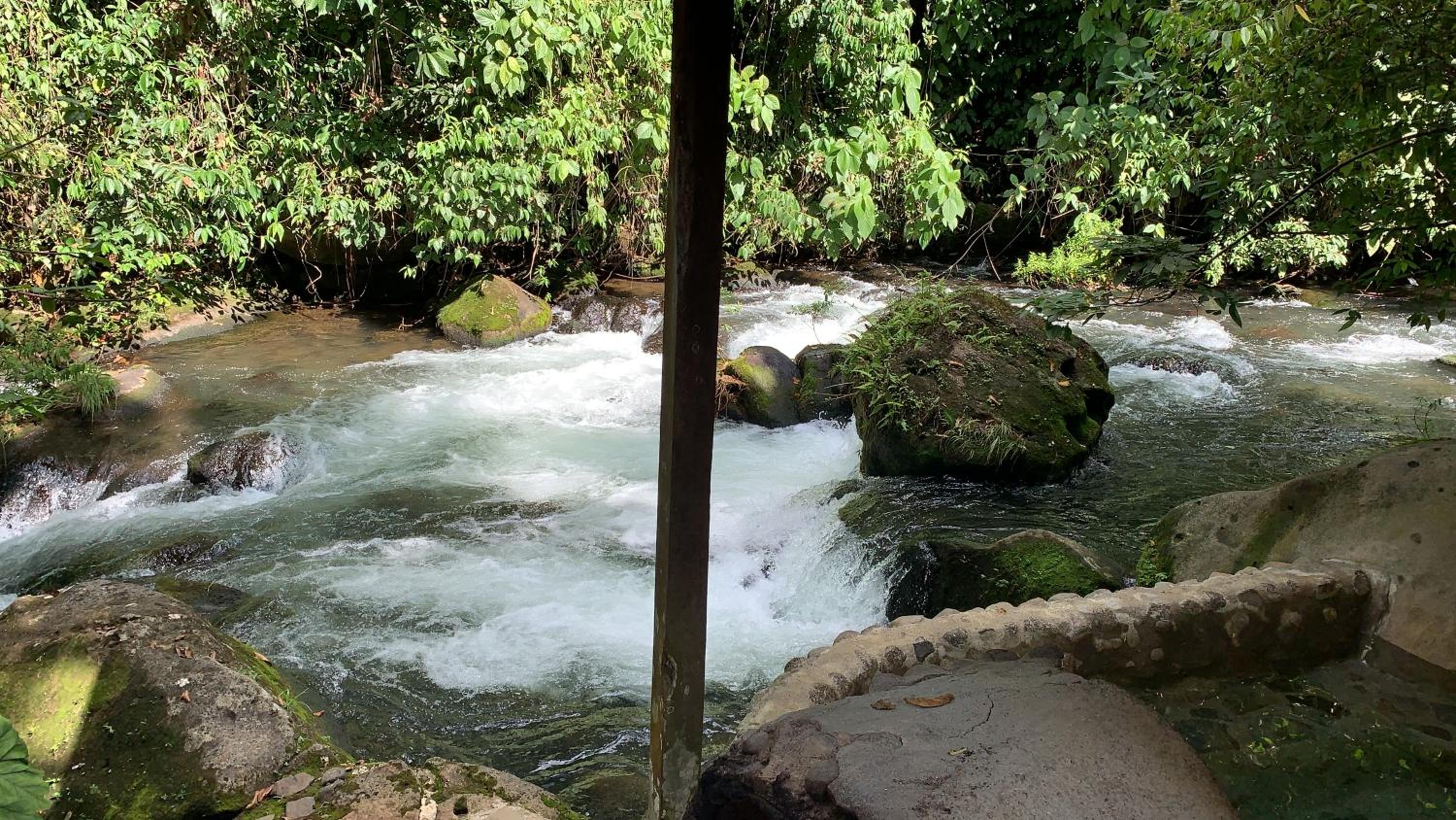 Casa Vitality Bed and Breakfast - Playa Guiones, Nosara - 4 Minute Walk to the Beach