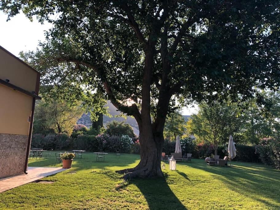 Agriturismo Relais Villa Passerini view 3