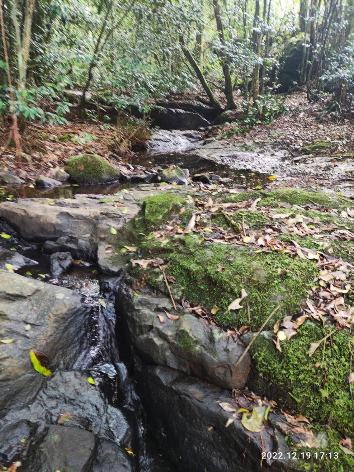 Cabana, lagoas e natureza!