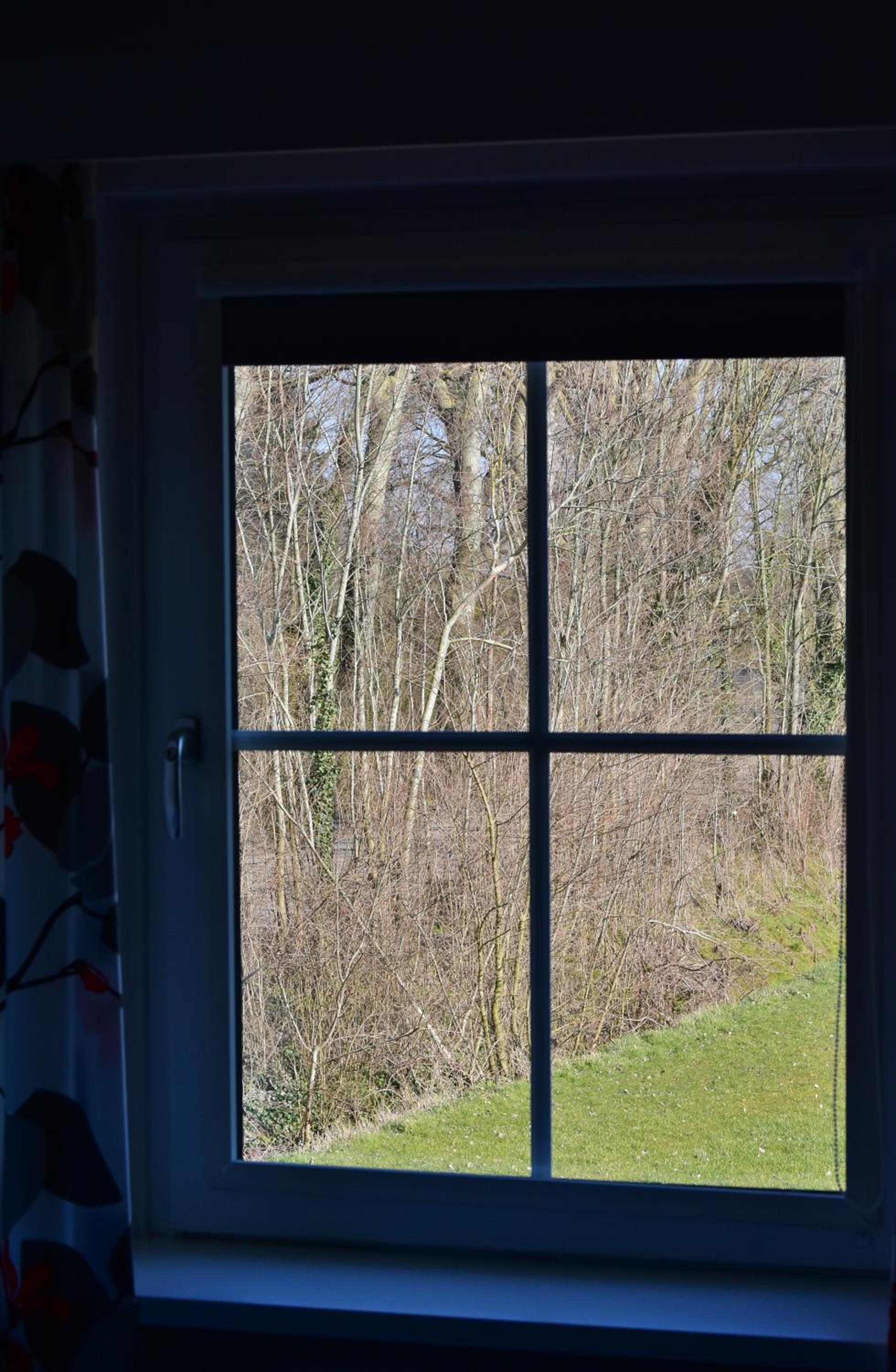Woning zeldenrust 6