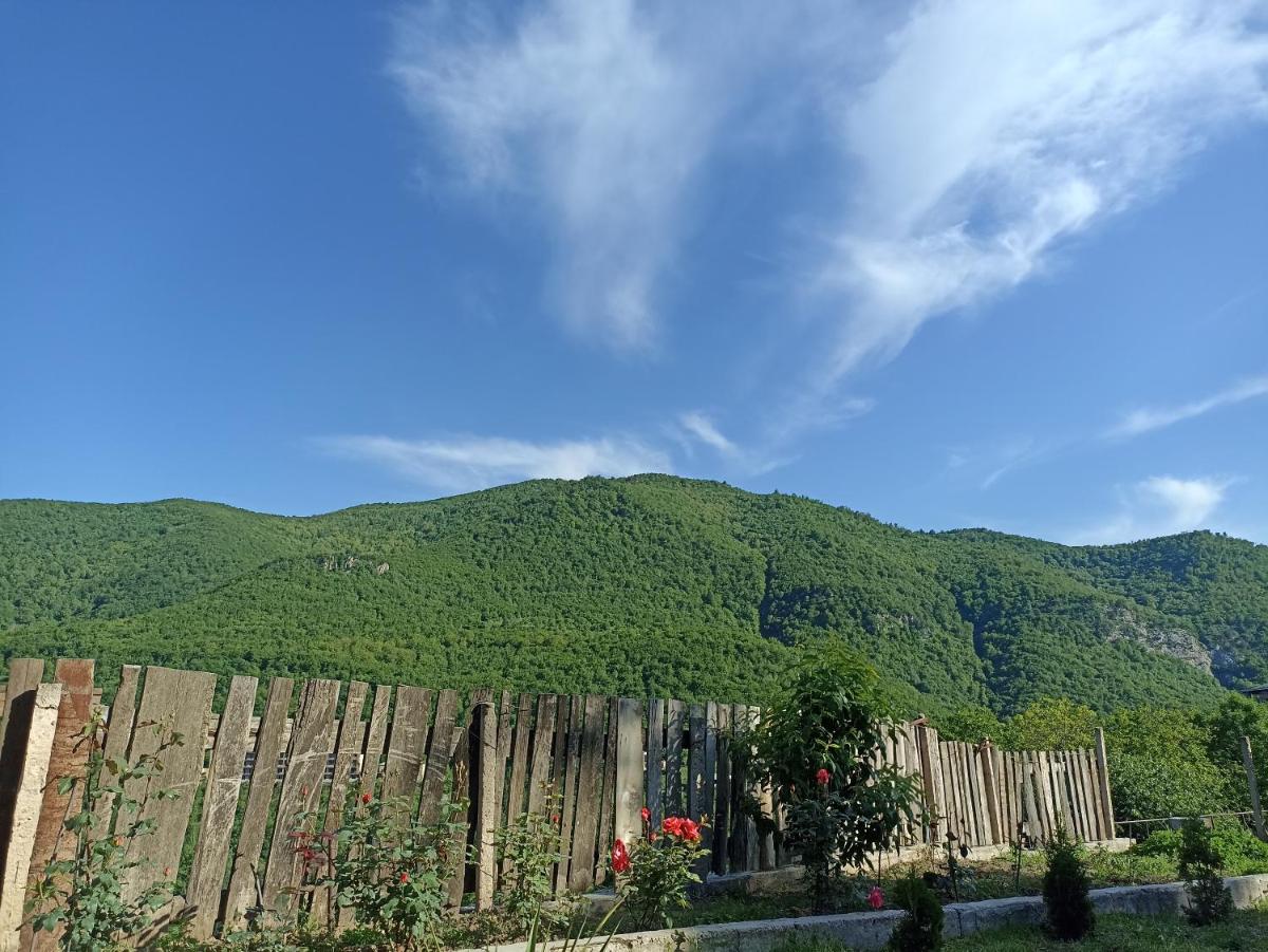 Green Garden