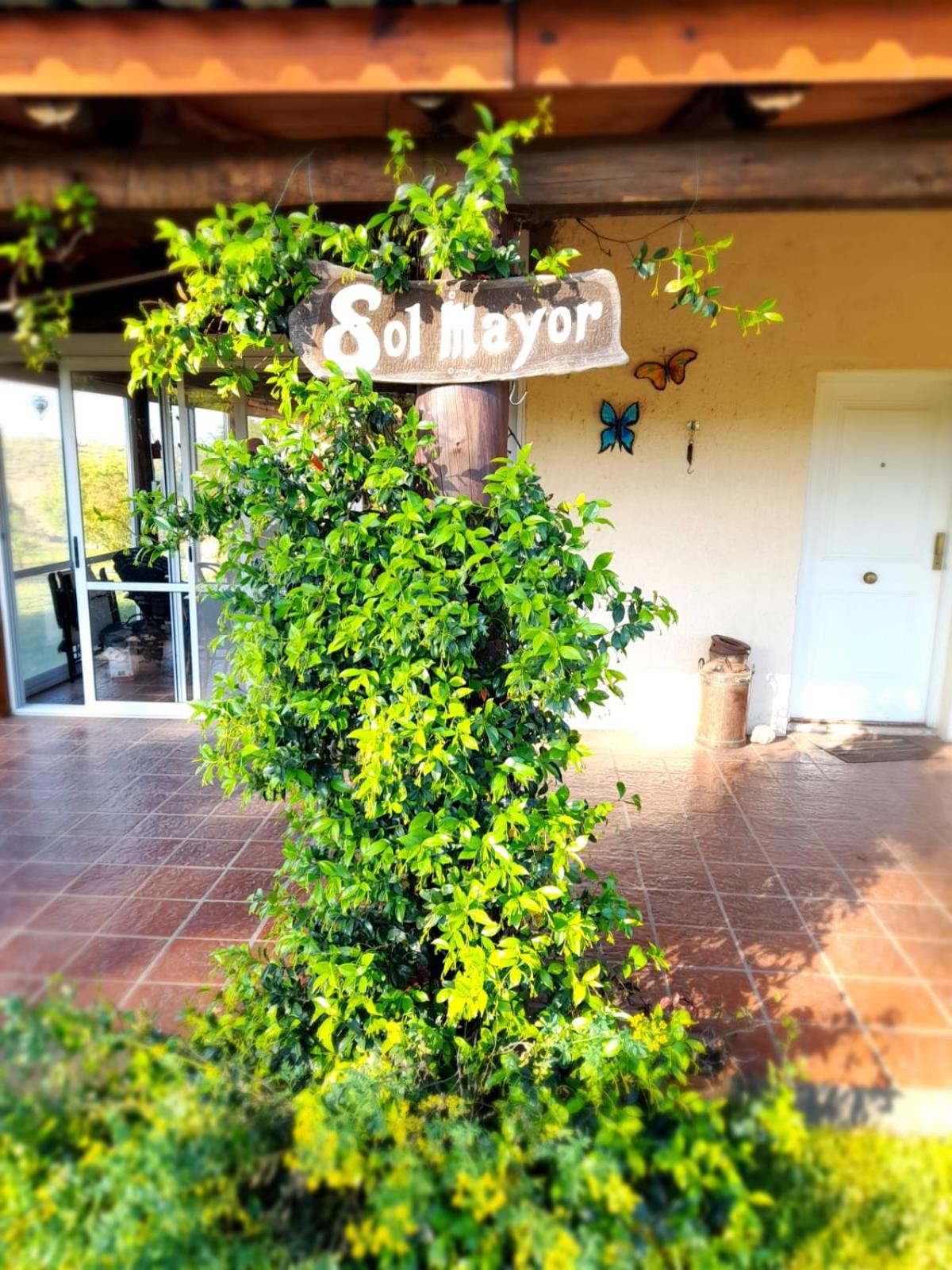 Sol Mayor