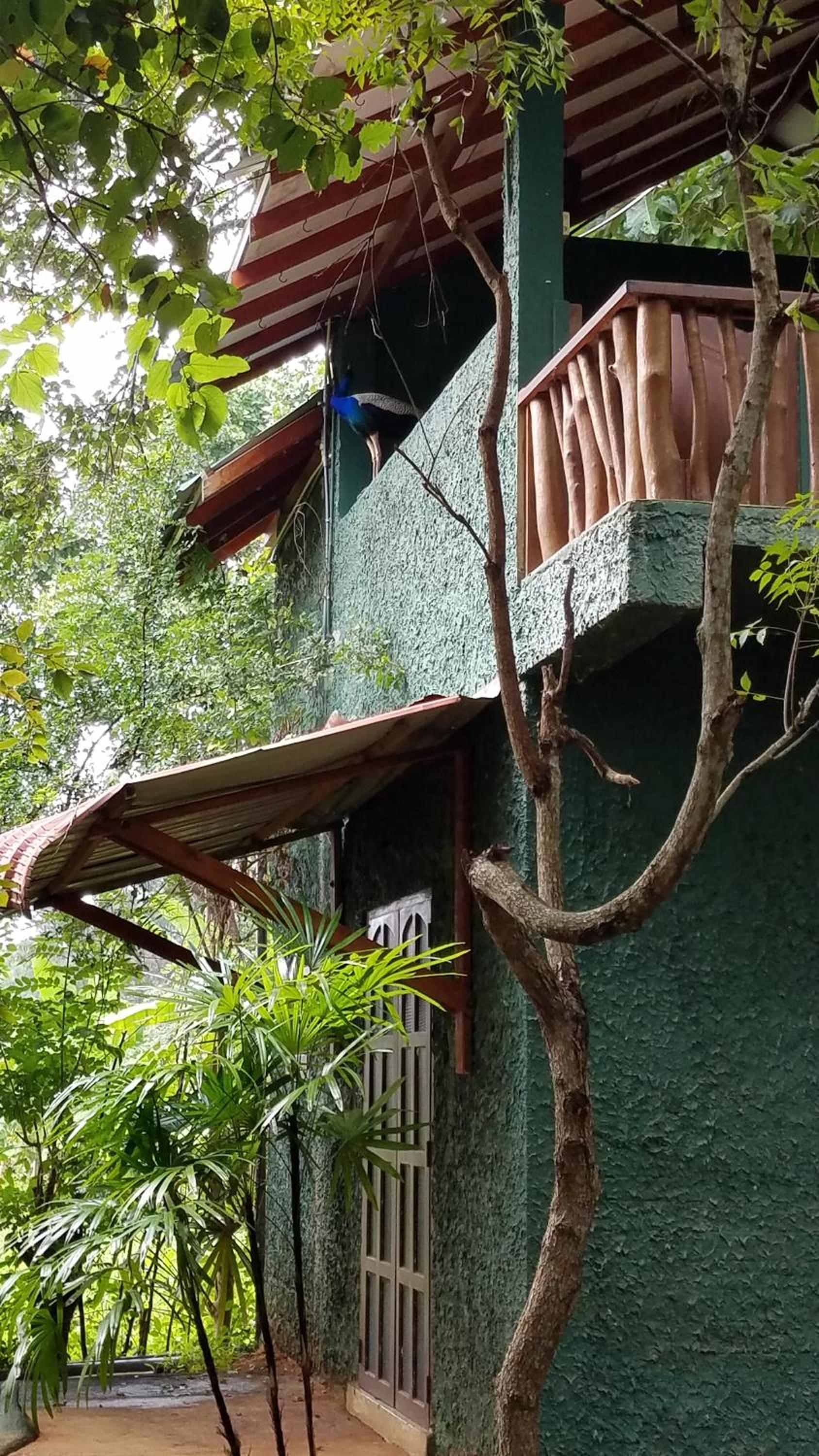 Sigiri Holiday Villa