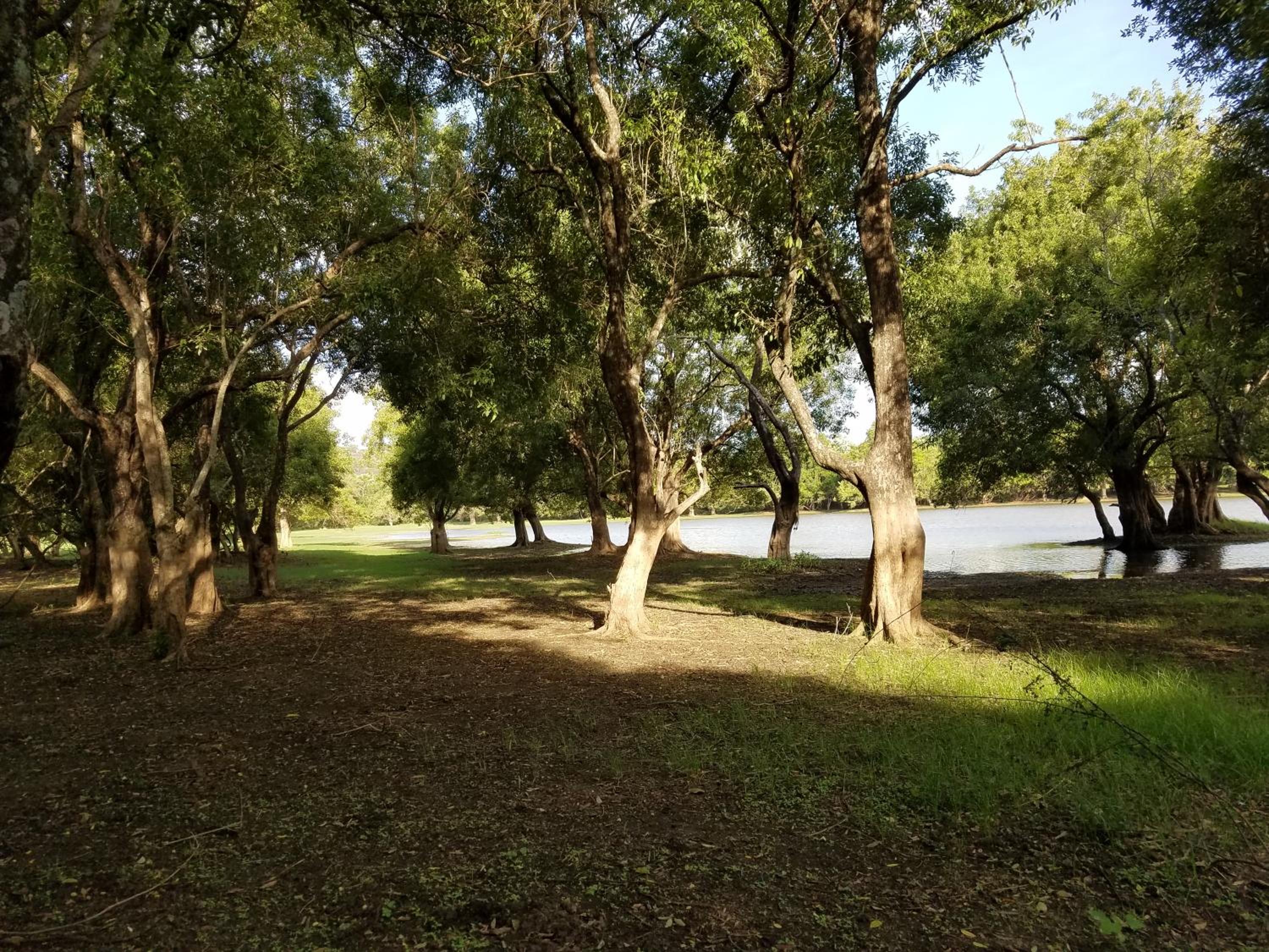 Sigiri Holiday Villa