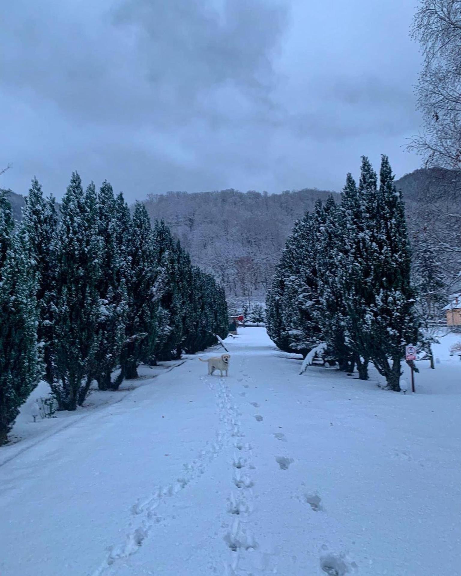 Pensiunea Florina
