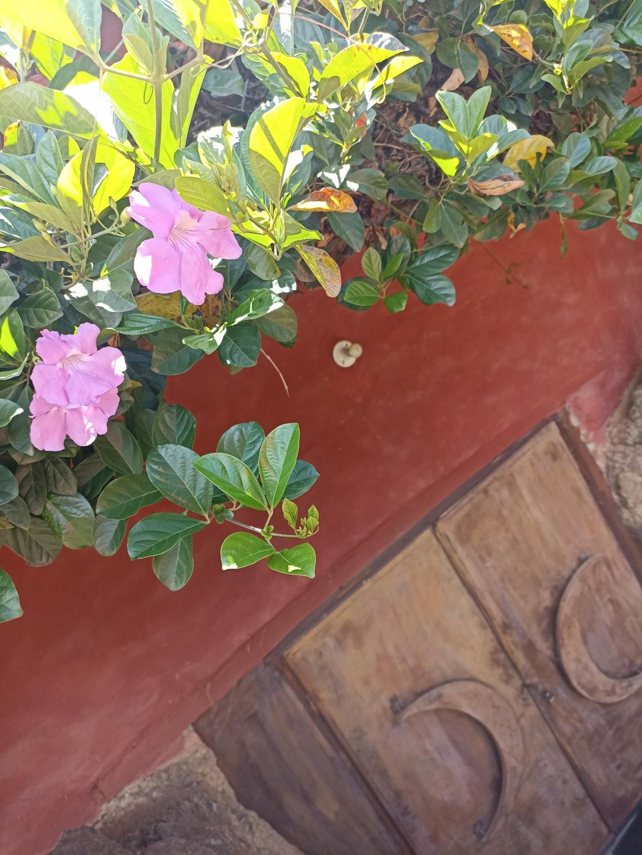 El Hayuelo Ecolodge