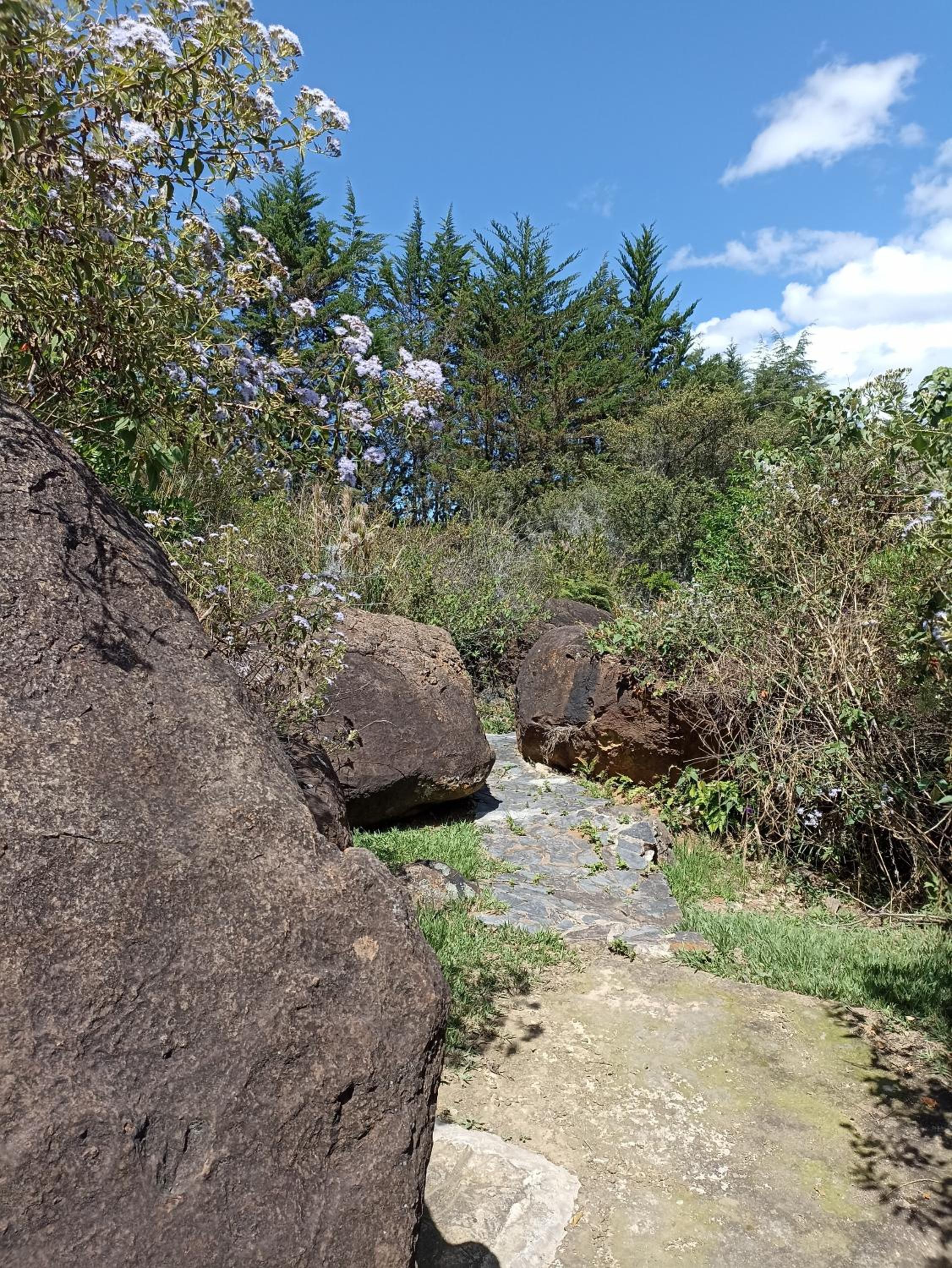 El Hayuelo Ecolodge