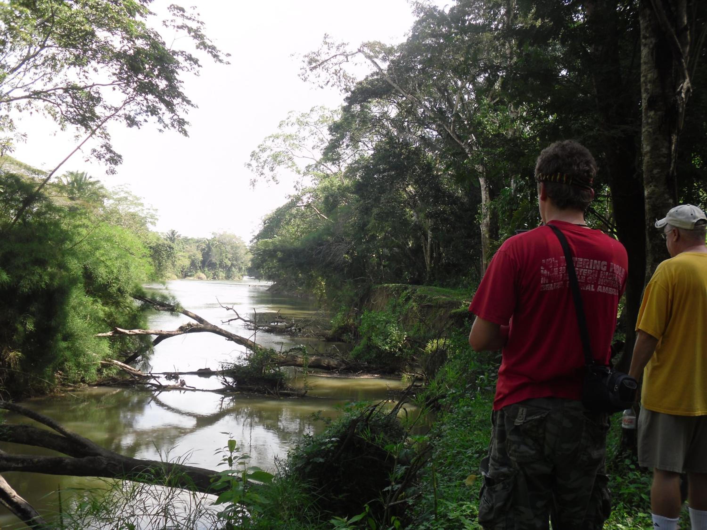 Lower Dover Jungle Lodge & Maya Ruins