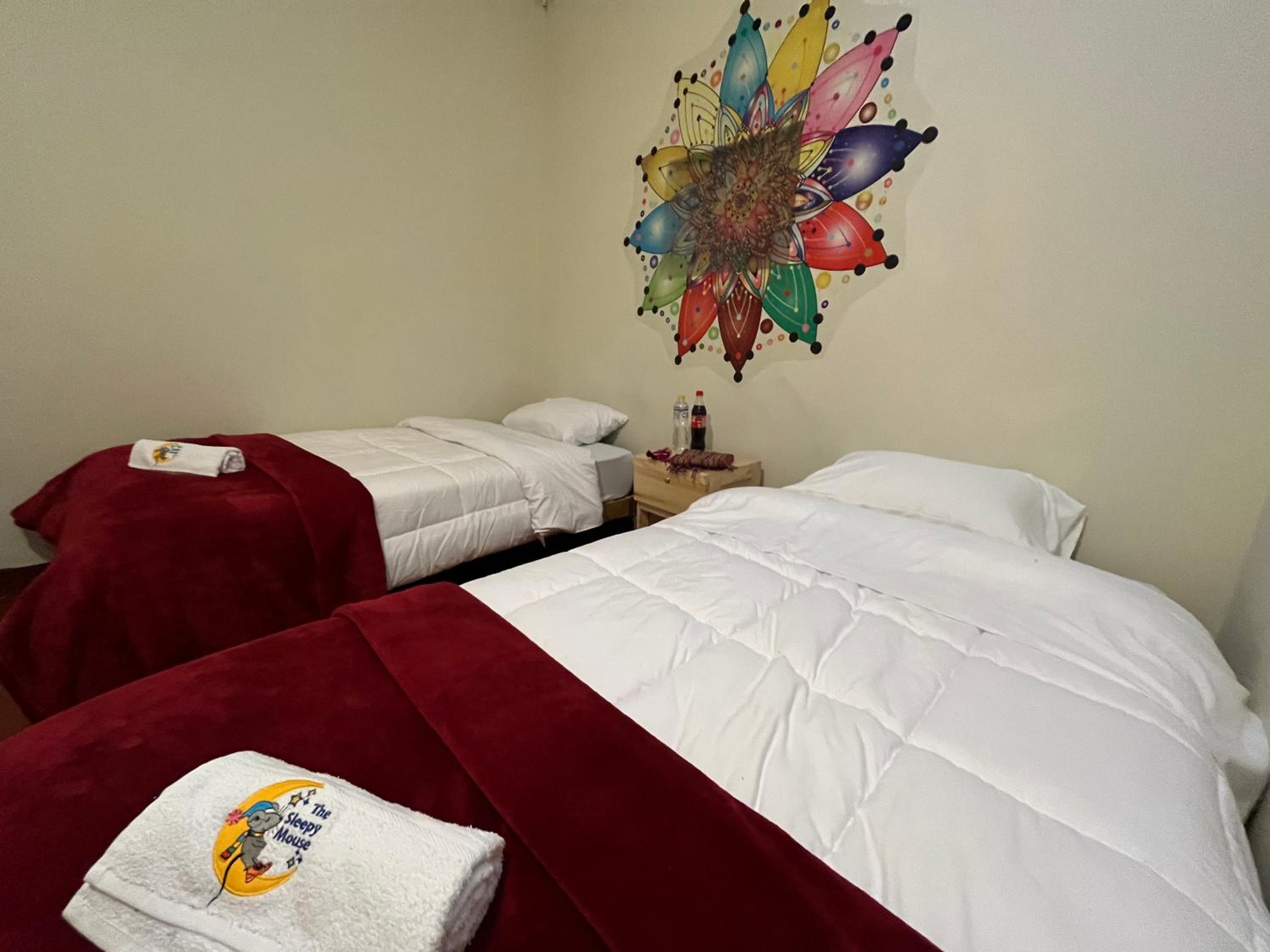 The Sleepy Mouse view 3