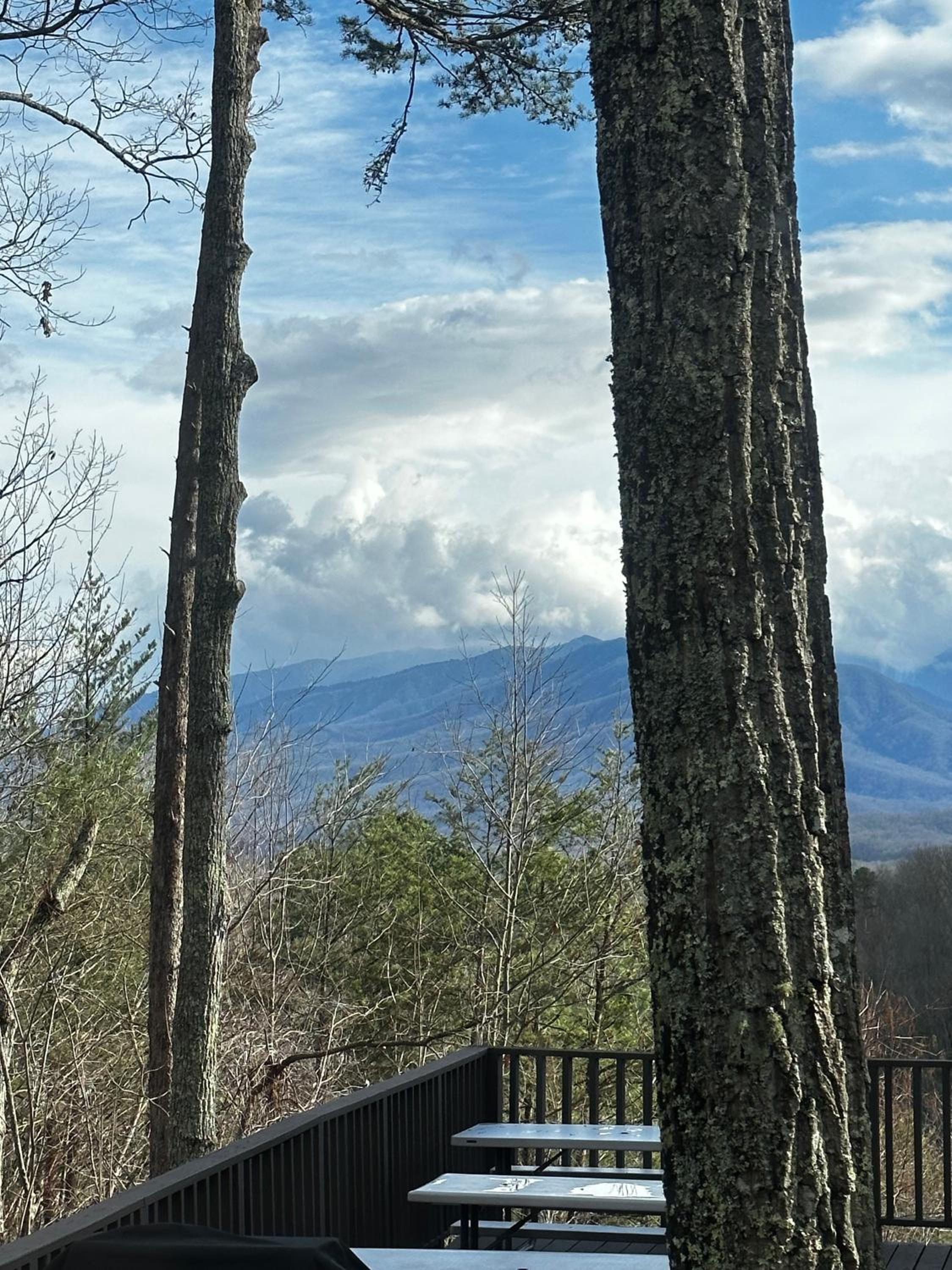 Smoky Vista Cottage, Hot Tub, WIFI, Mtn Views, 560 FREE tickets each paid day! view 2