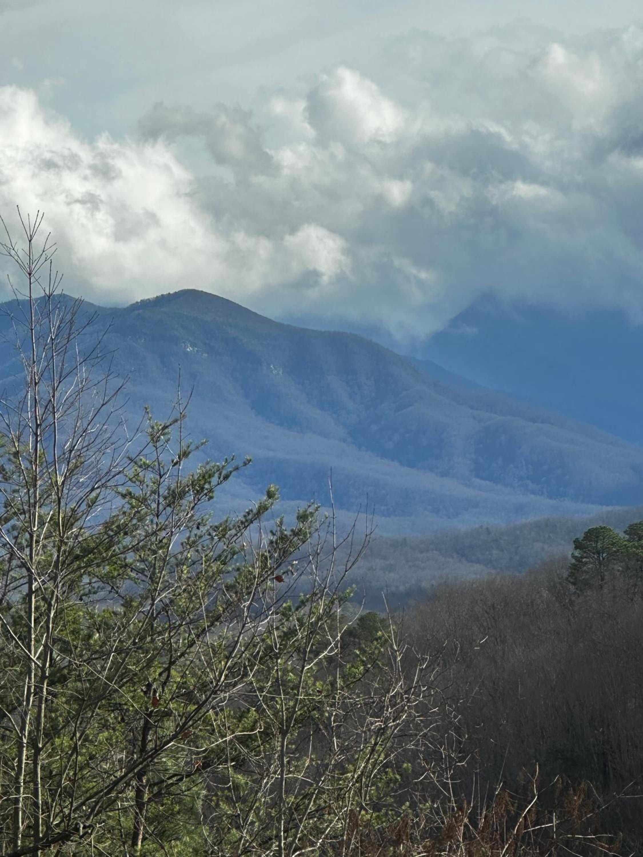 Smoky Vista Cottage, Hot Tub, WIFI, Mtn Views, 560 FREE tickets each paid day! view 3
