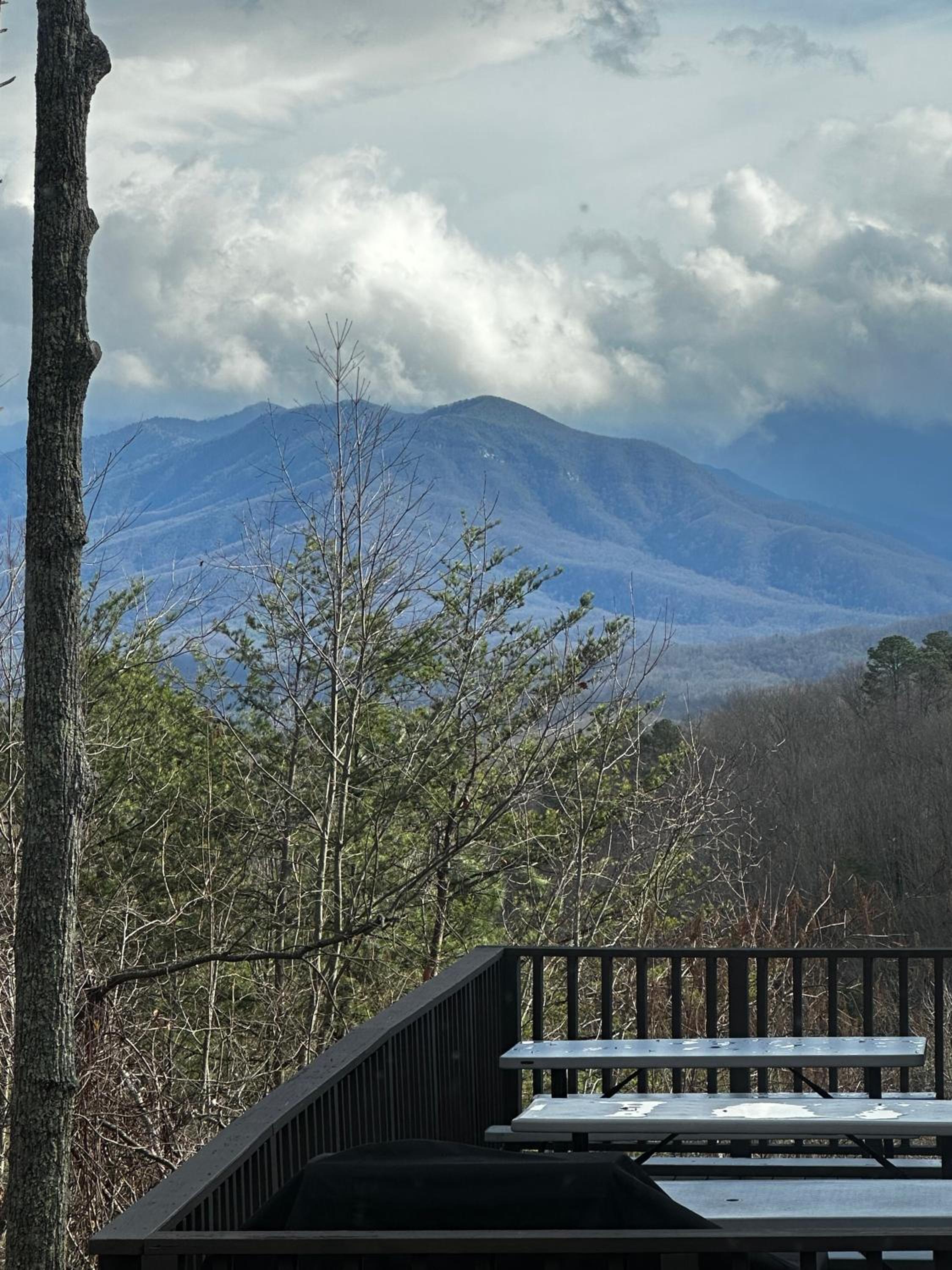 Smoky Vista Cottage, Hot Tub, WIFI, Mtn Views, 560 FREE tickets each paid day! view 4