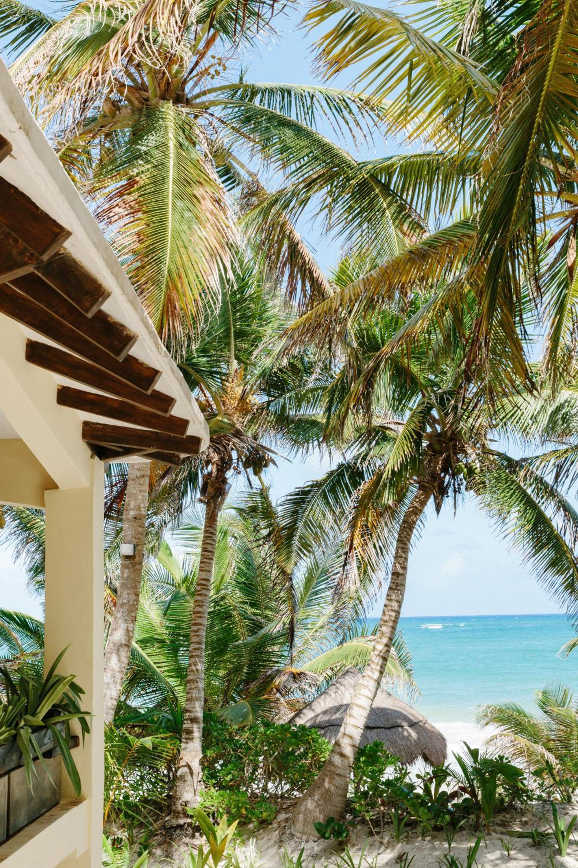 Olas Tulum view 3