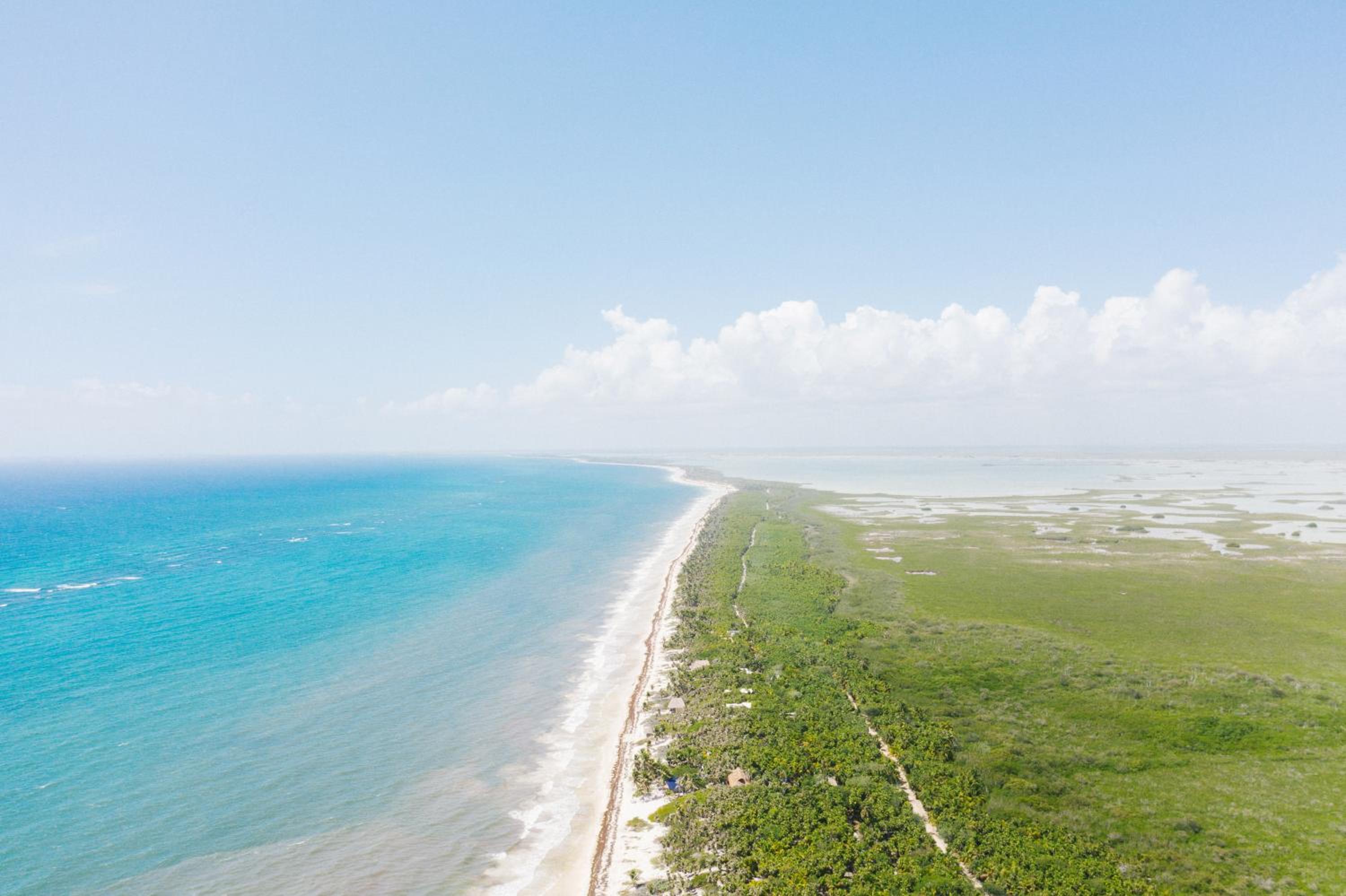 Olas Tulum view 4