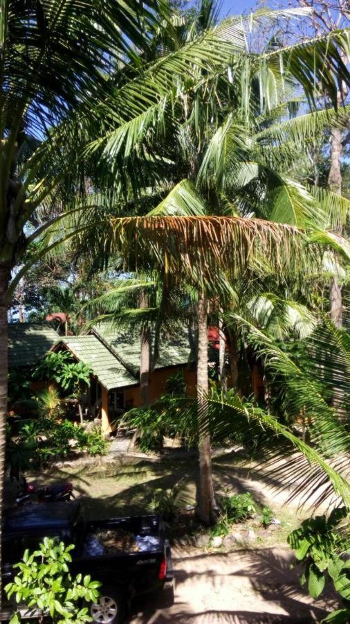 Paradise Palms view 3