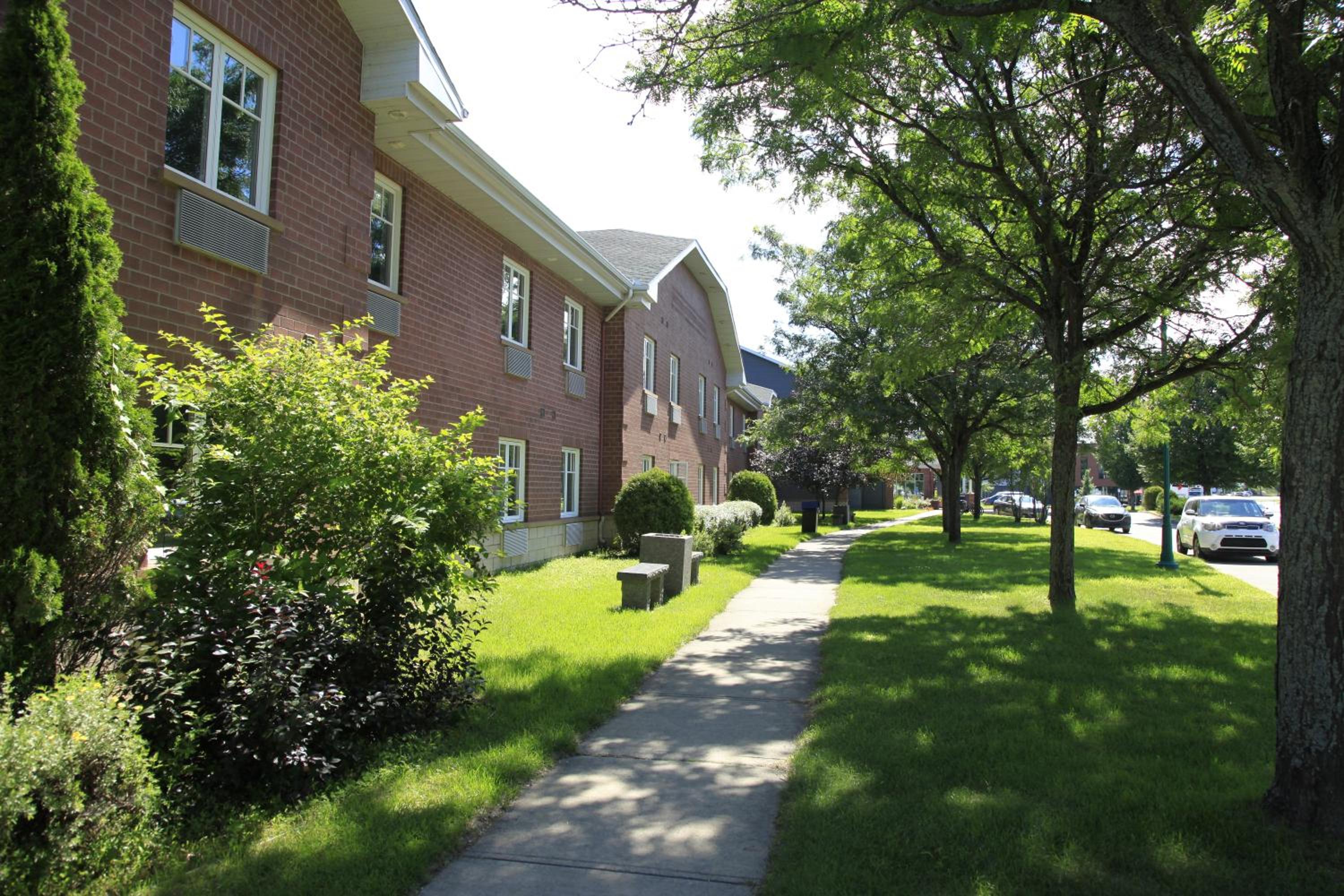Photo 45