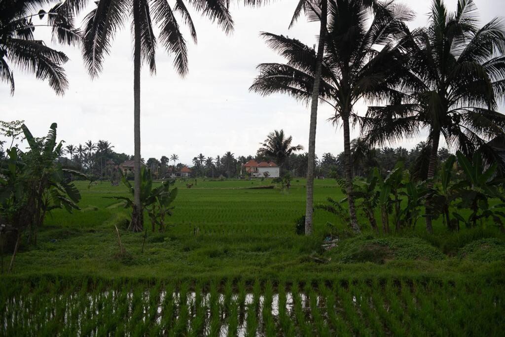 Ananditha Villa Ubud Ricefield Views view 3