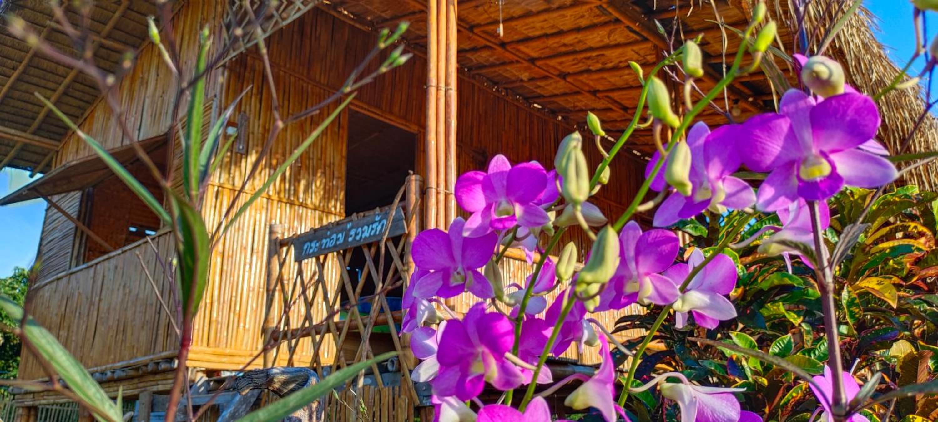 Baan 2 Dao Farmstay