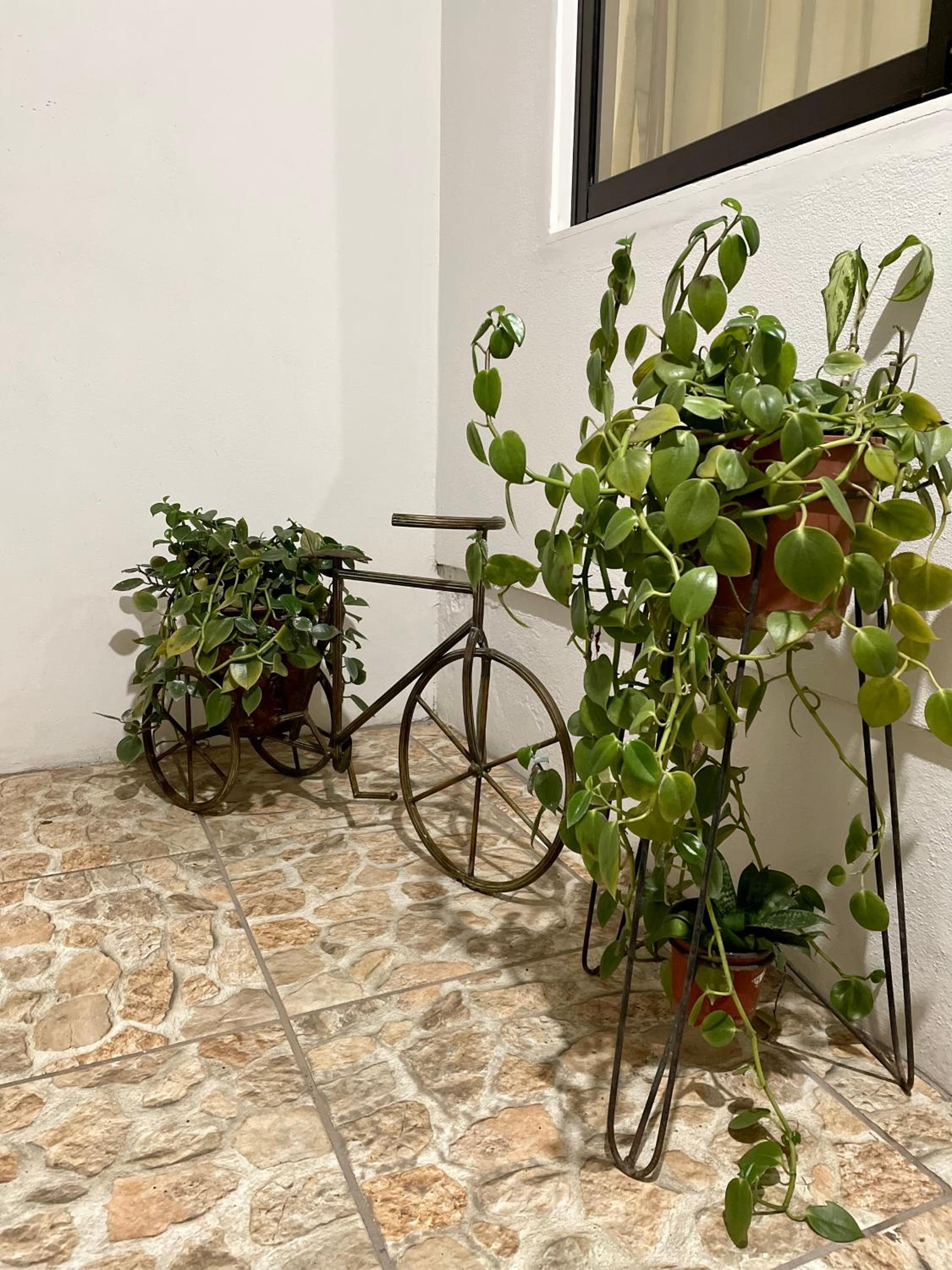 Hermoso apartamento en la capital de Costa Rica