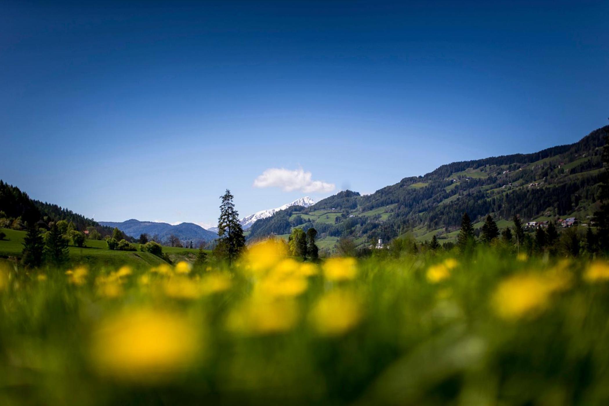 Gartenloft an der Mur