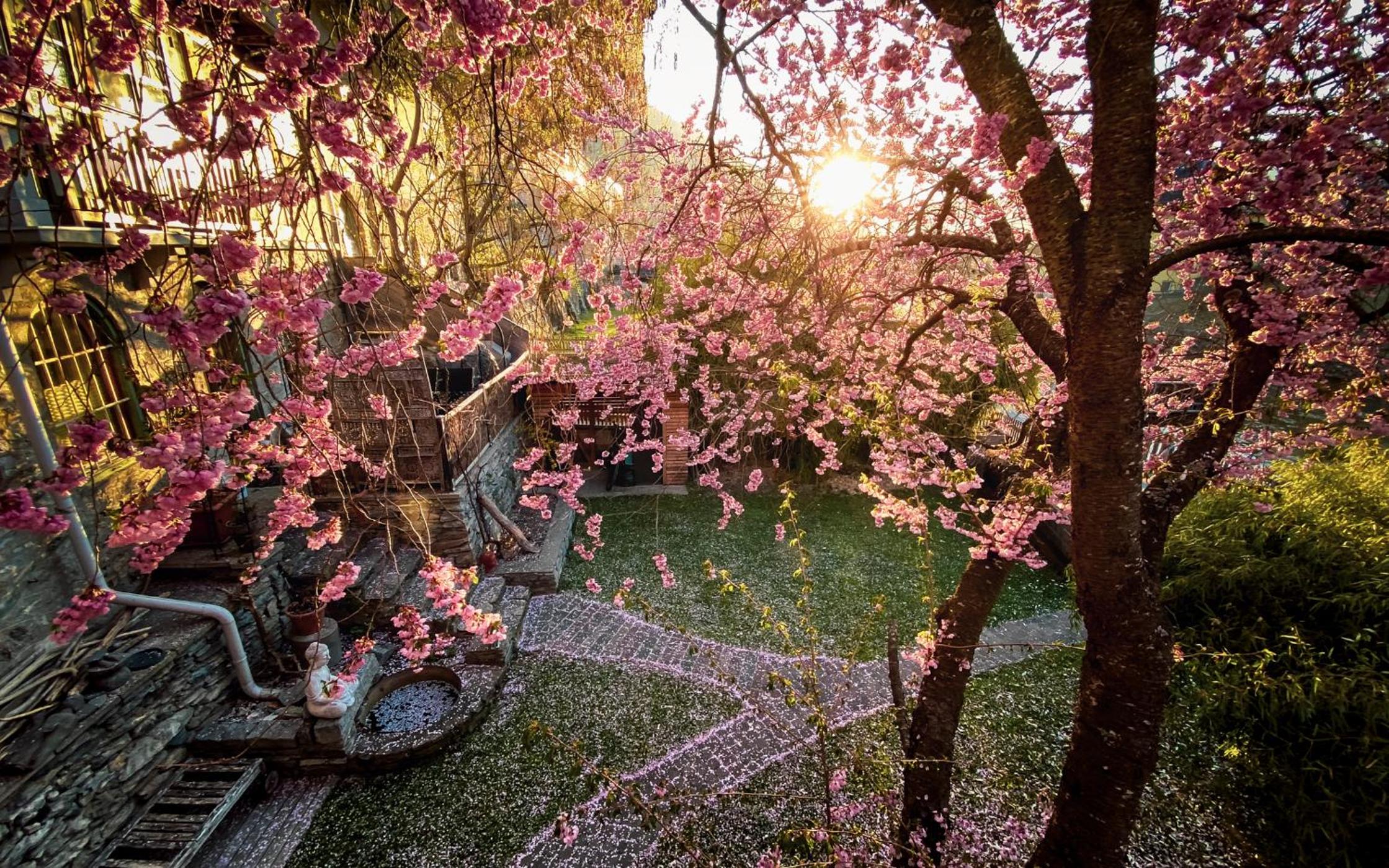 Gartenloft an der Mur