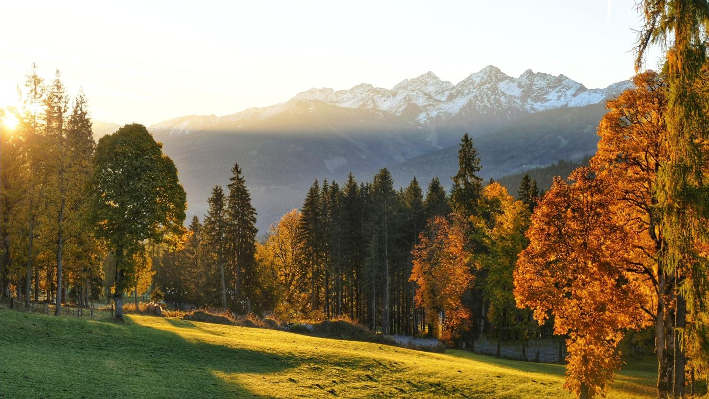 Holzerjuwel - Minzlhof Ramsau am Dachstein