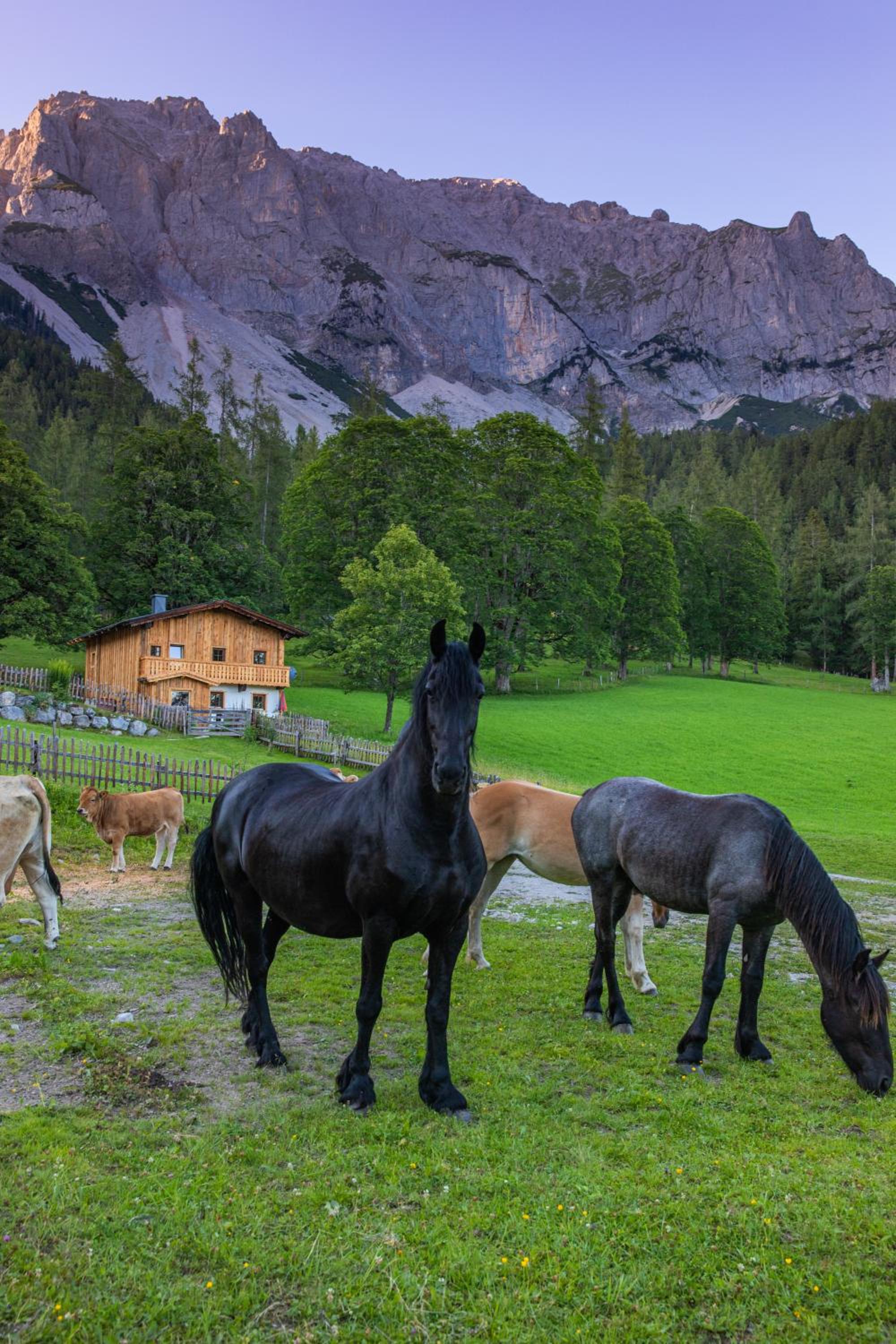 Holzerjuwel - Minzlhof Ramsau am Dachstein