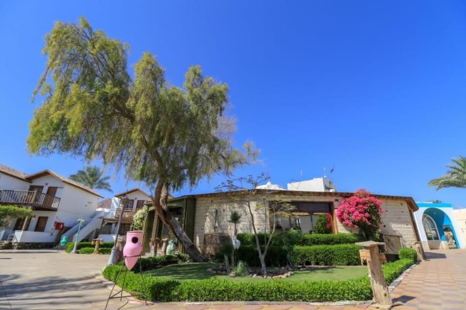 Ganet Sinai Resort