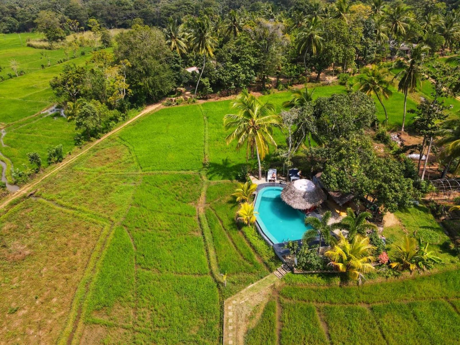 Nelu Villa Sigiriya view 2