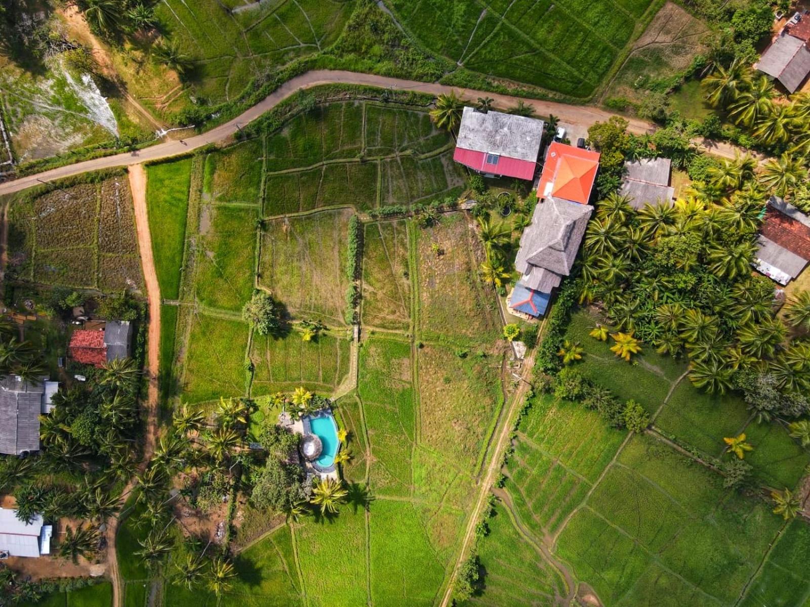 Nelu Villa Sigiriya view 3