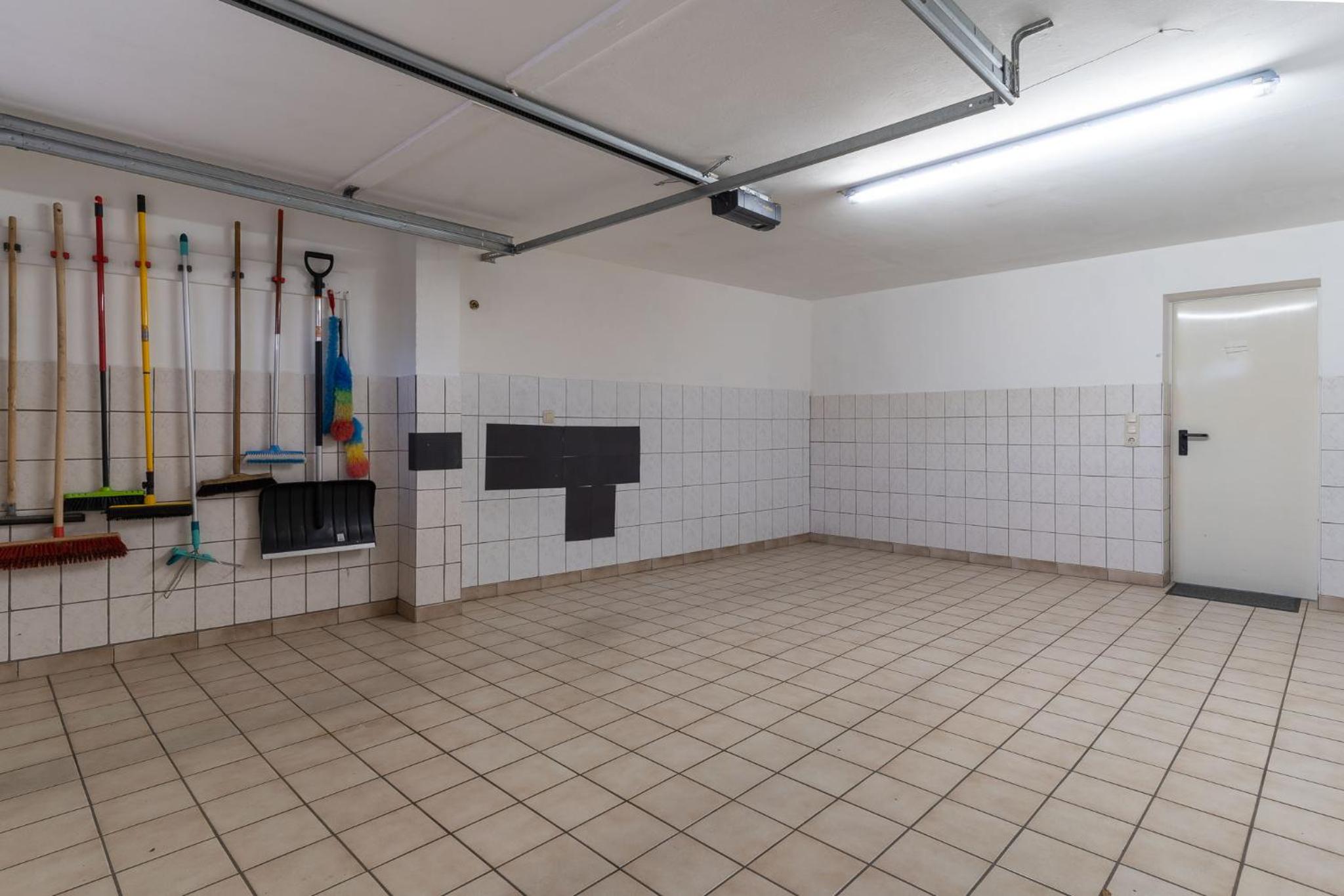 Haus-Sturmschwalbe view 5