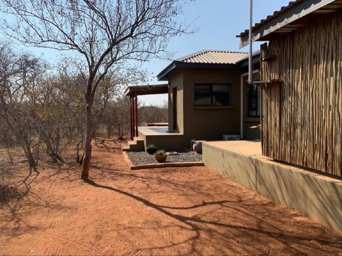 African Olive view 4