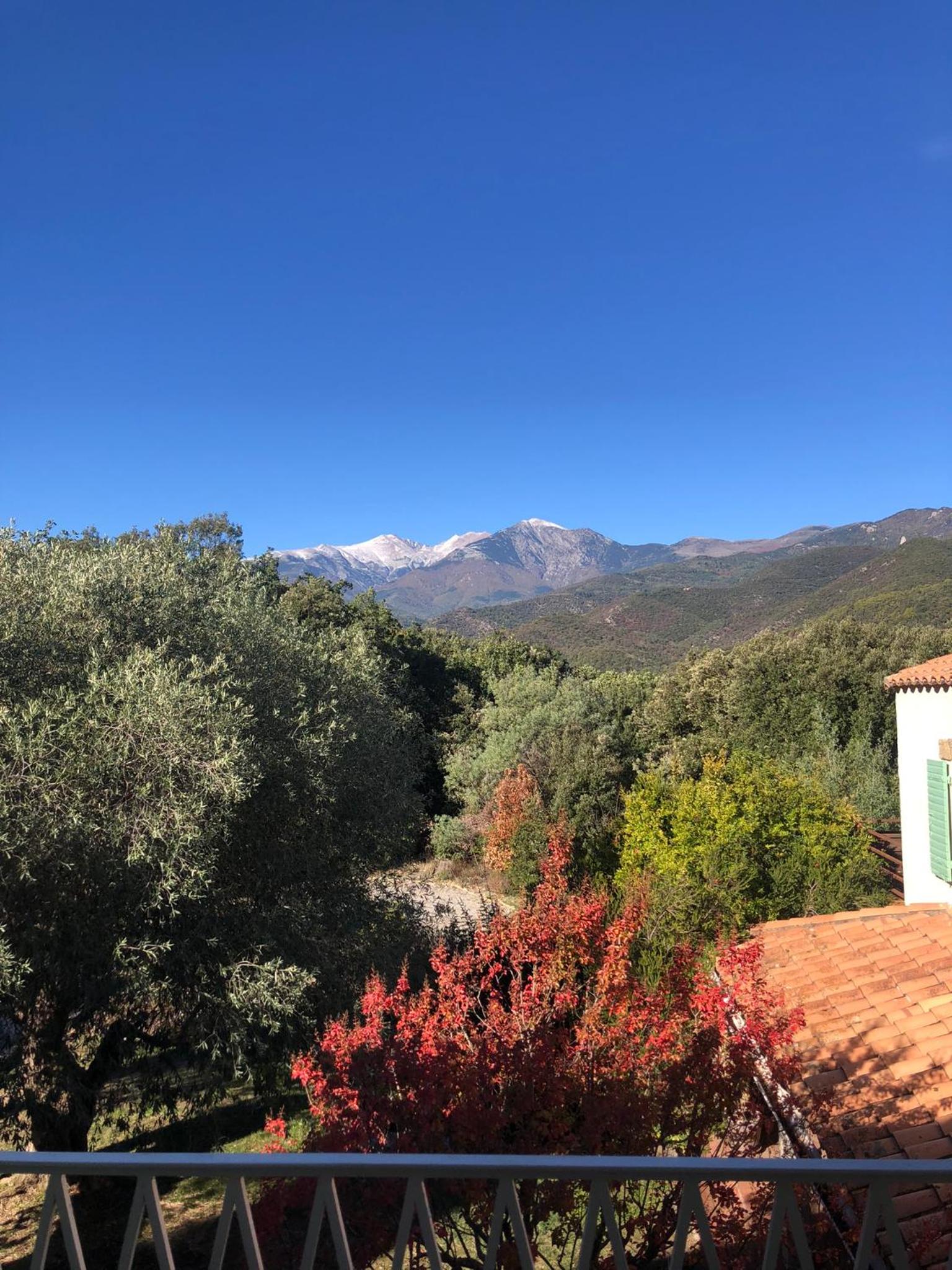 Villa Bonheur Vallespir view 4