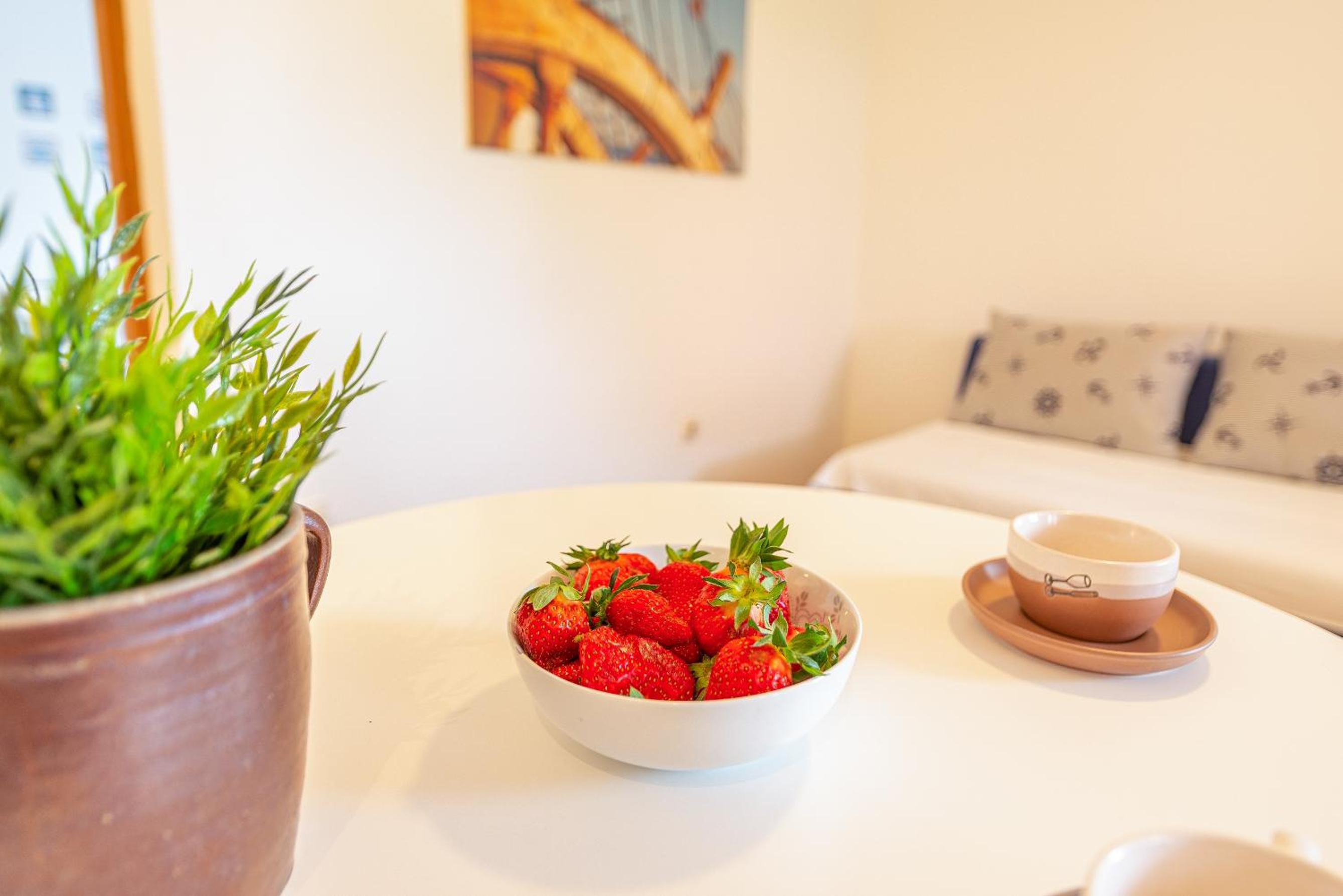 Apartmani Luka
