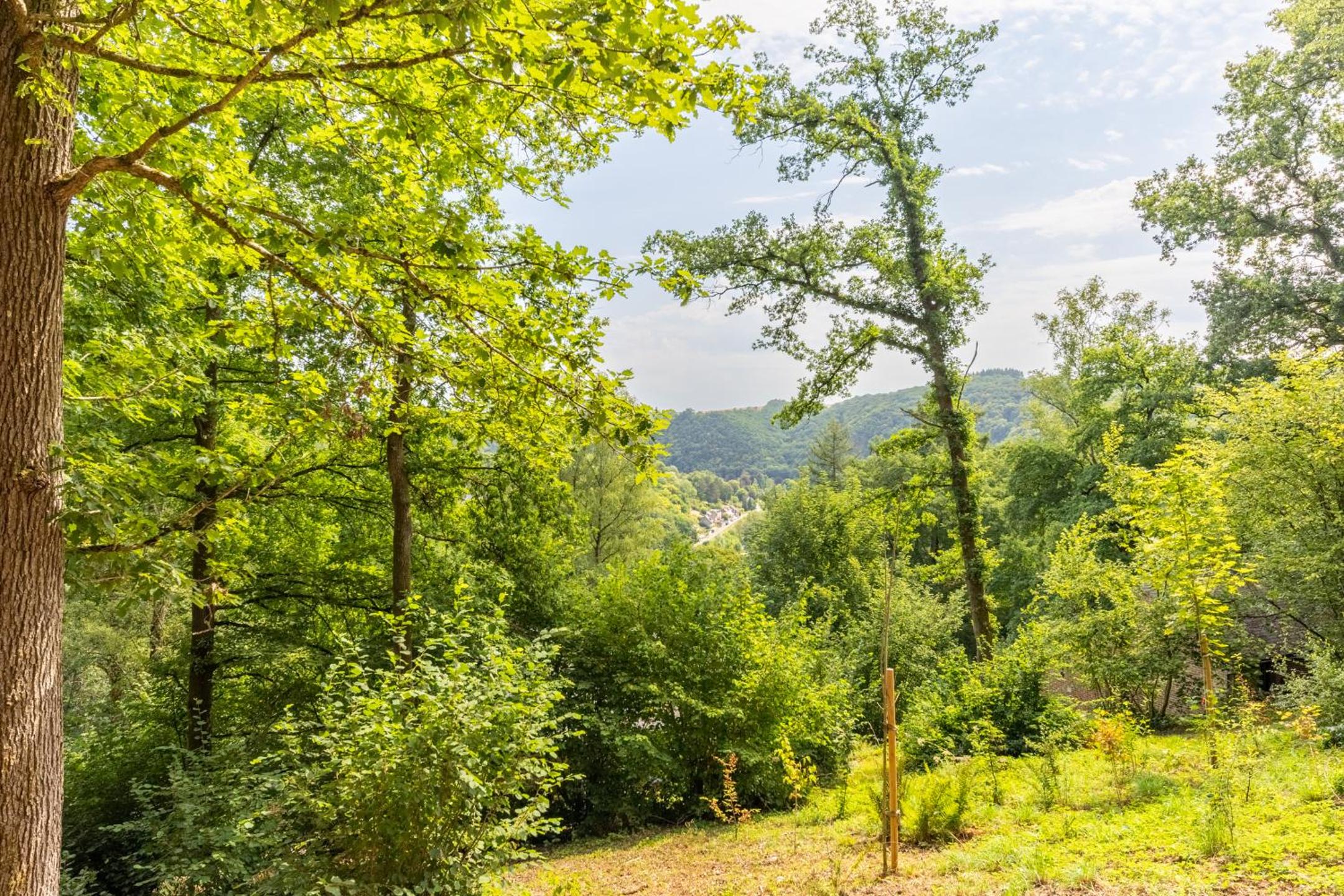 Au Cœur des Bois - Belvédère sur la Vallée de la Meuse