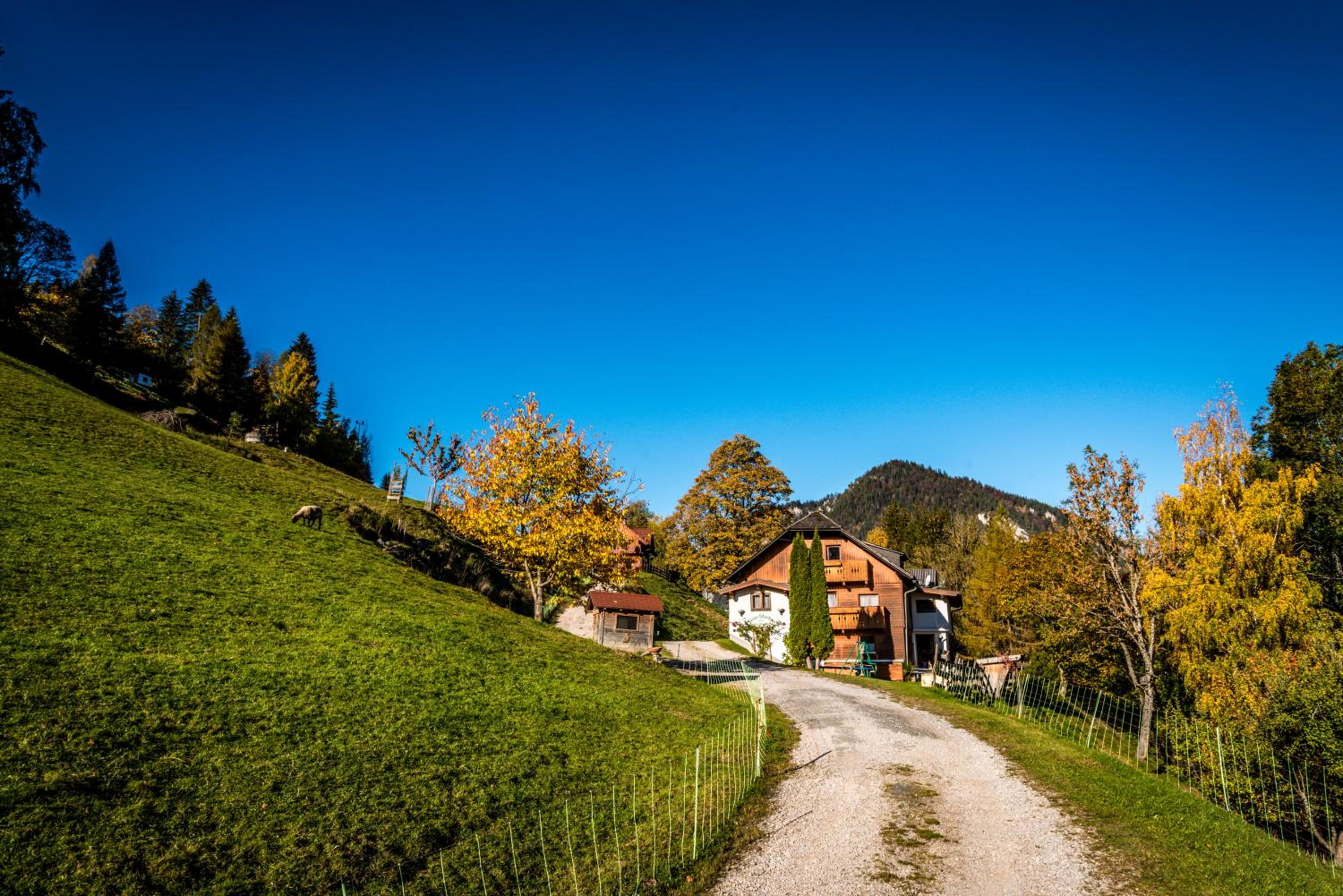 Stallhäusl view 3