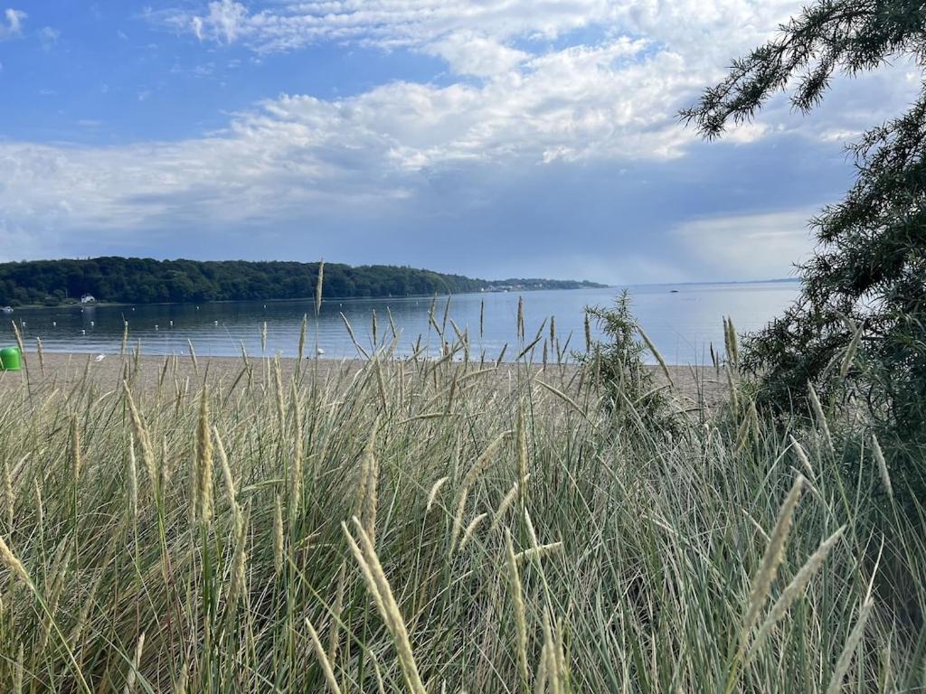 `Kapitänslounge` vollsanierte Fewo mit Blick auf die Flensburger Förde