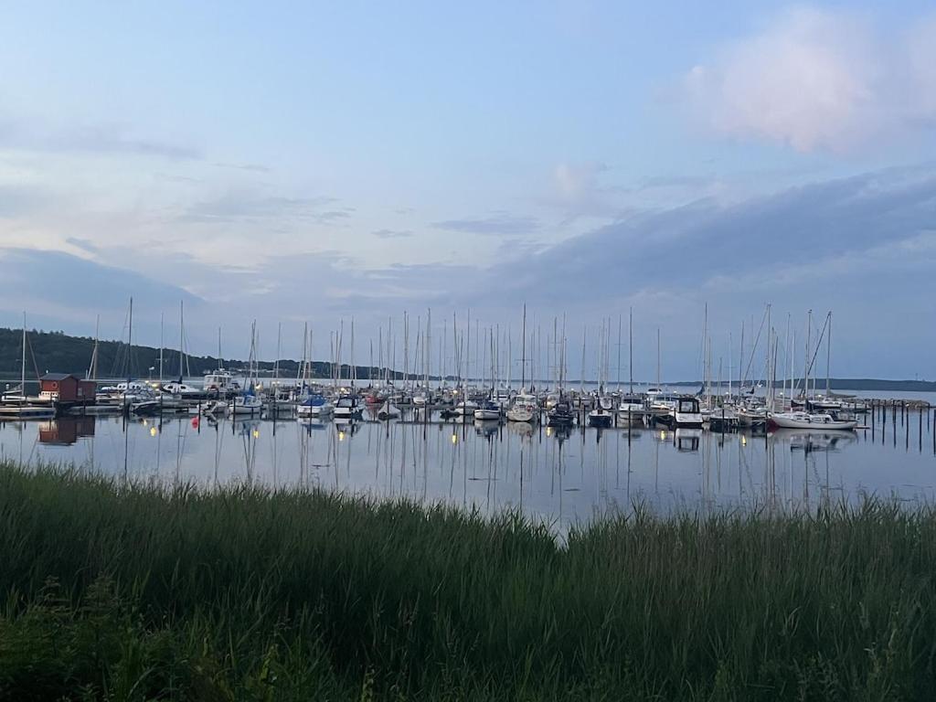 `Kapitänslounge` vollsanierte Fewo mit Blick auf die Flensburger Förde