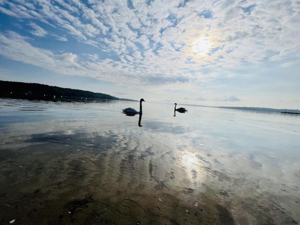 `Kapitänslounge` vollsanierte Fewo mit Blick auf die Flensburger Förde